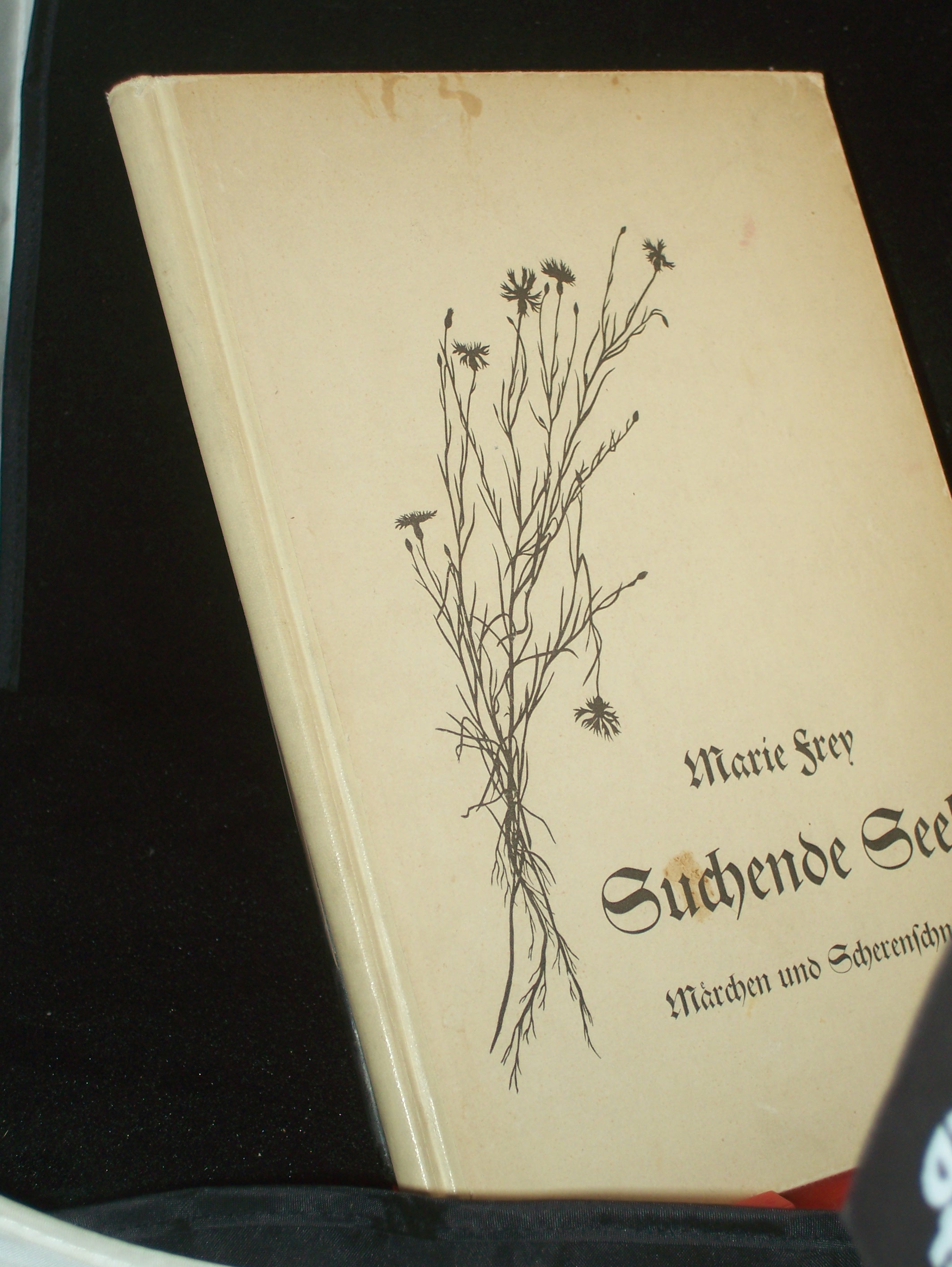 Artikelbild 1 des Artikels “Suchende Seele : Märchen u. eingedr. Scherenschnitte / Marie Frey “