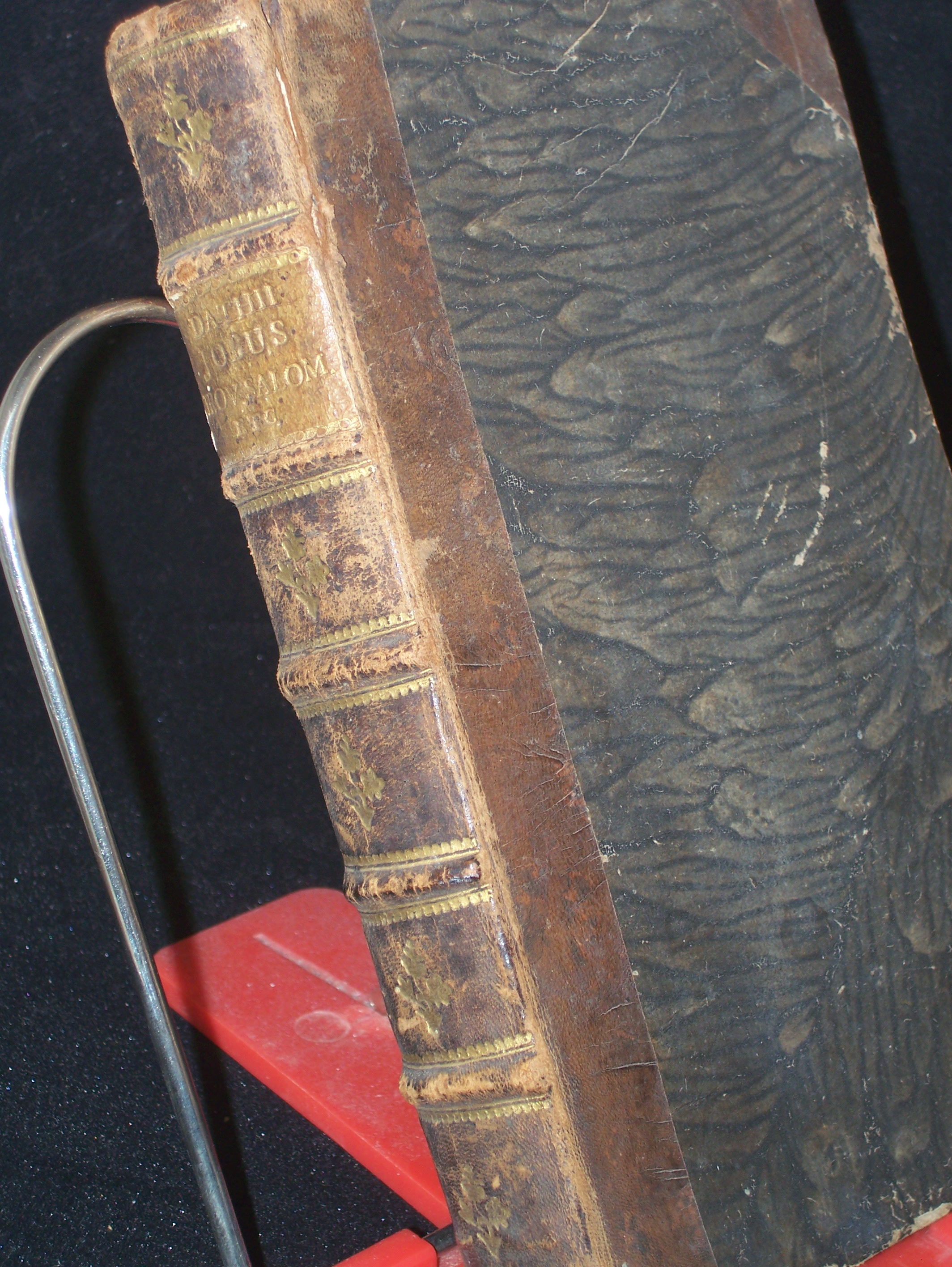 Artikelbild 1 des Artikels “Jobus Proverbia Salomonis ecclesiastes canticum Canticorum ex
recensione Textus Hebraei et versionum antiquarum latine versi
notisque Philologicis et criticis illustrati. “