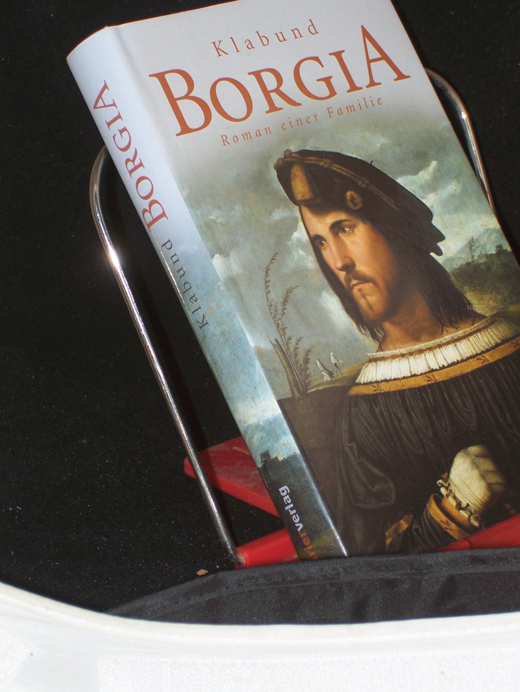 Artikelbild 1 des Artikels “Borgia : Roman einer Familie / von Klabund “