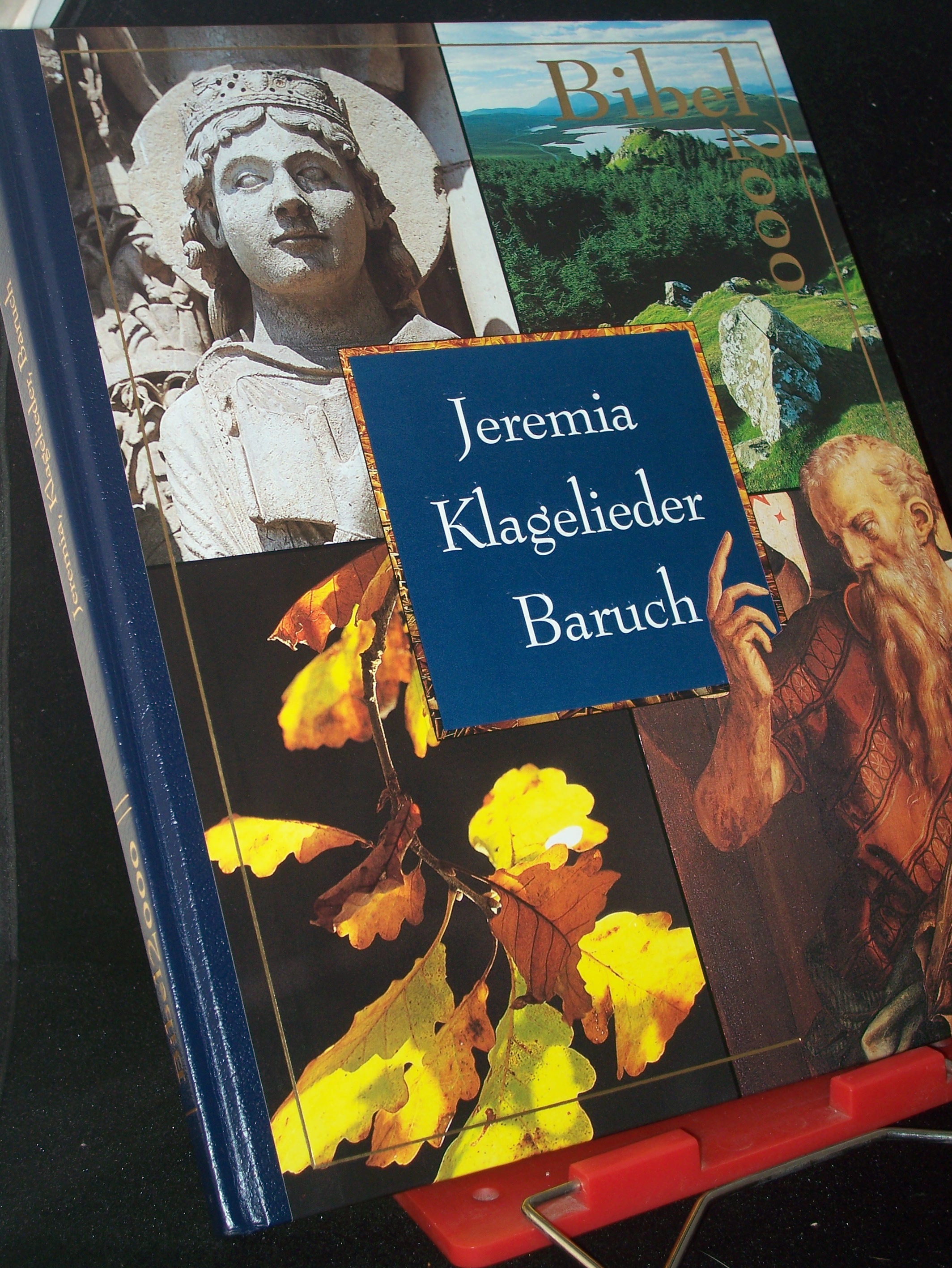 Artikelbild 1 des Artikels “Bibel 2000||Teil: Bd. 12., Jeremia; Klagelieder; Baruch / [Autoren Emmanuelle Bjerkem-Hirtz... Fotos F. Zvardon... Übers. aus dem Franz.: René Schurte und Christina Herzog] “