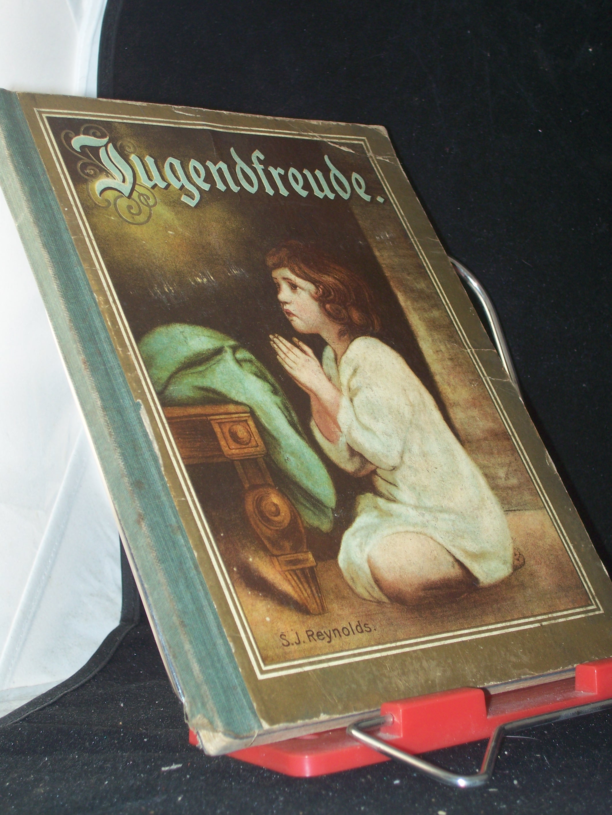 Artikelbild 1 des Artikels “Jugendfreude, Band. 1, eine Gabe für die Jugend, mit Erzählungen, Gedichten und vielen Bildern “