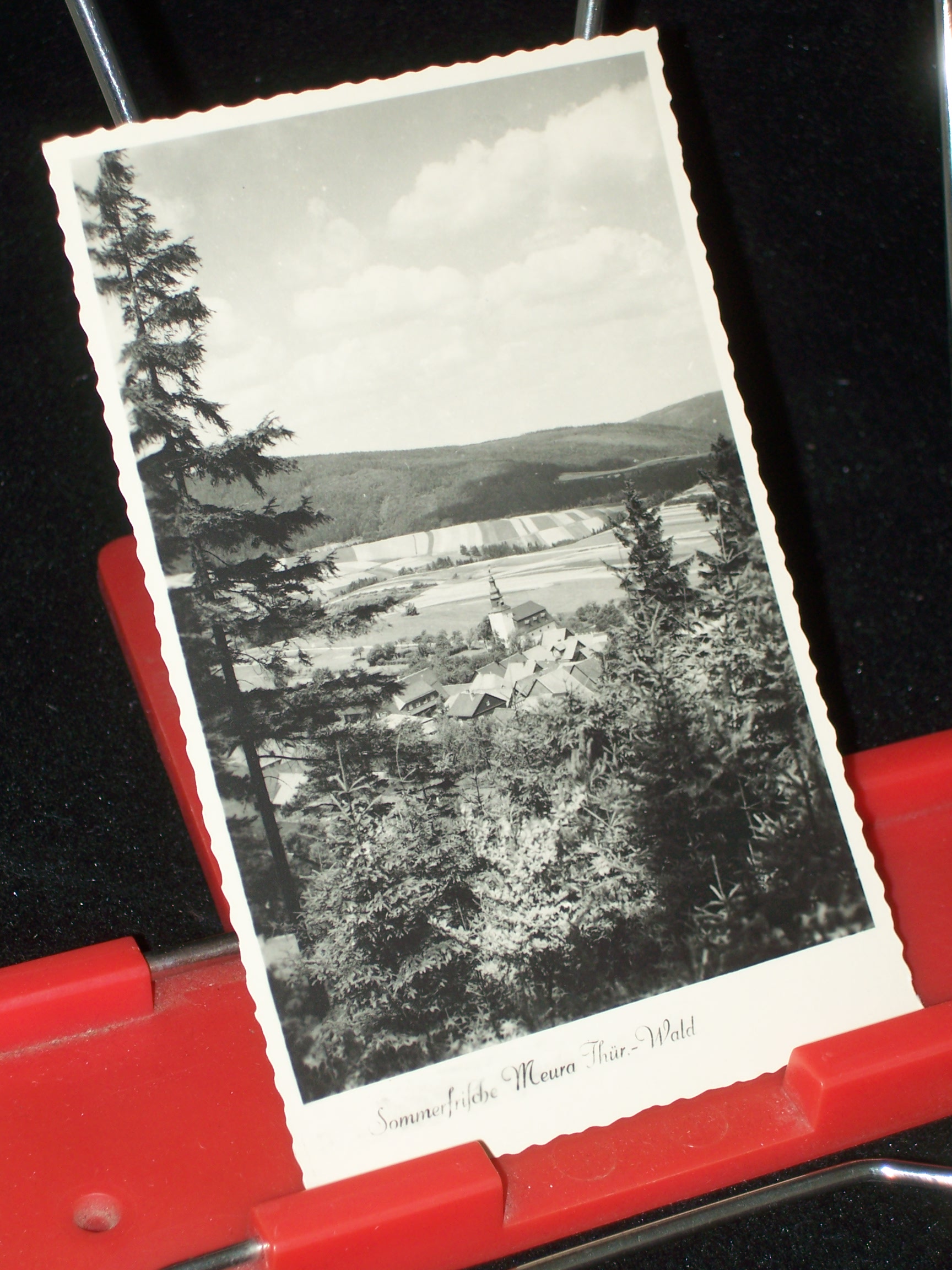 Artikelbild 1 des Artikels “Sommerfrische Meura Thüringer Wald “