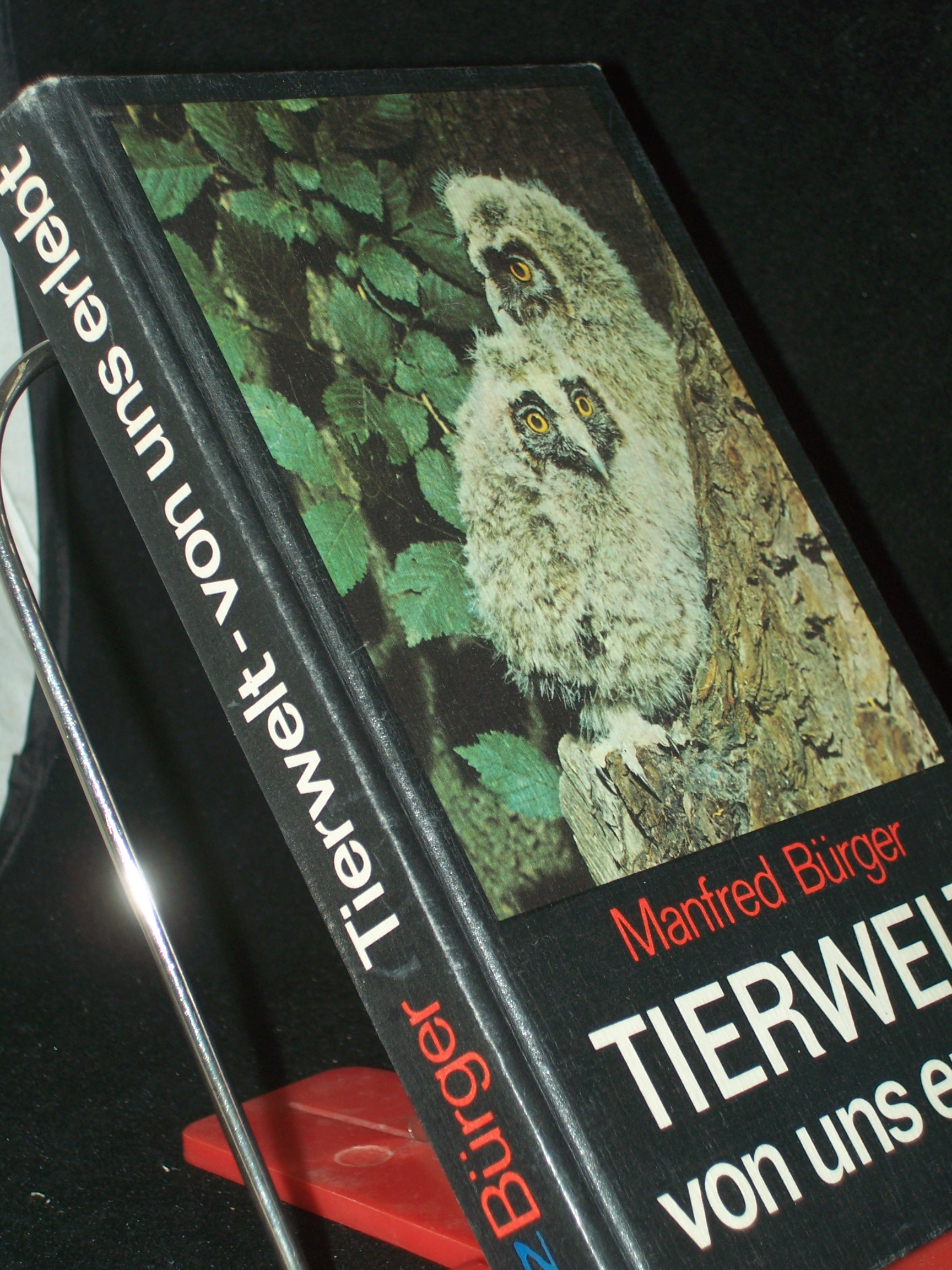 Artikelbild 1 des Artikels “Tierwelt, von uns erlebt / Manfred Bürger. [Zeichn. von Reiner Zieger] “