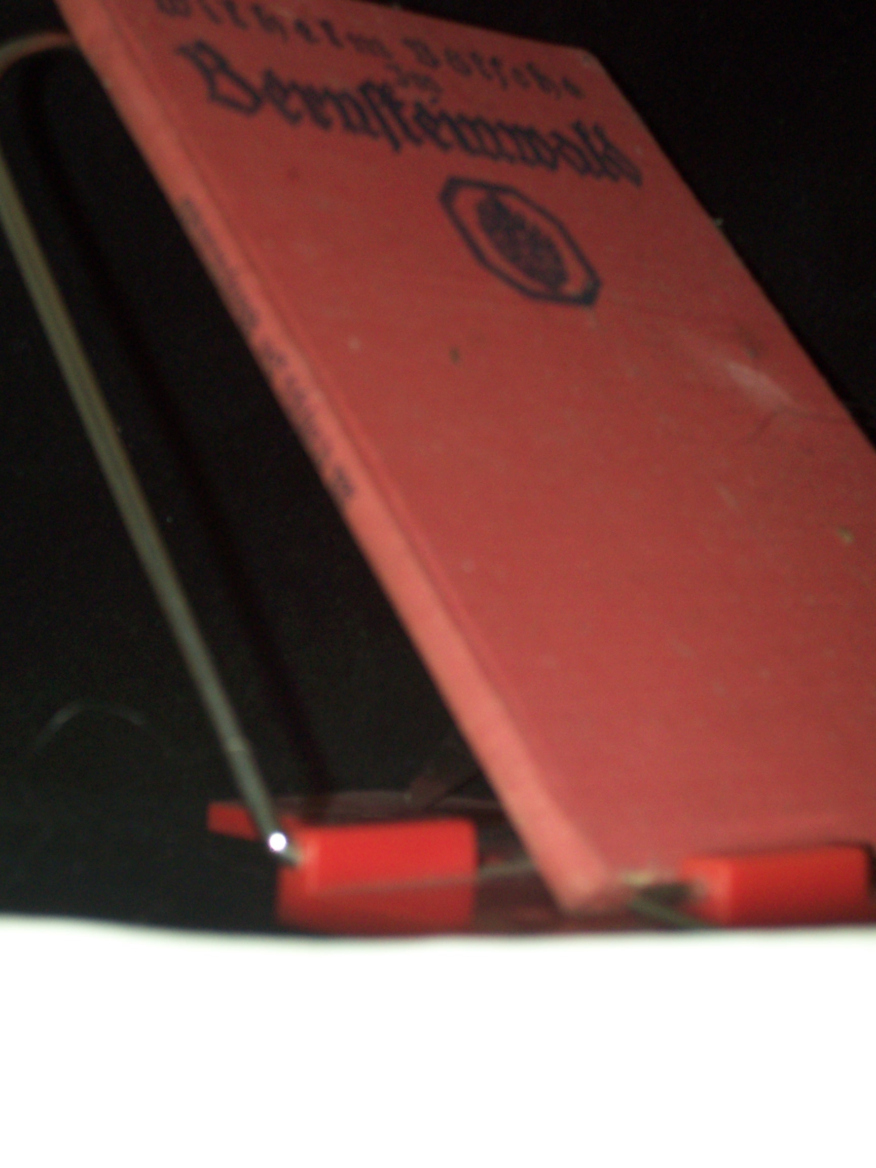 Artikelbild 1 des Artikels “Im Bernsteinwald / Wilhelm Bölsche “