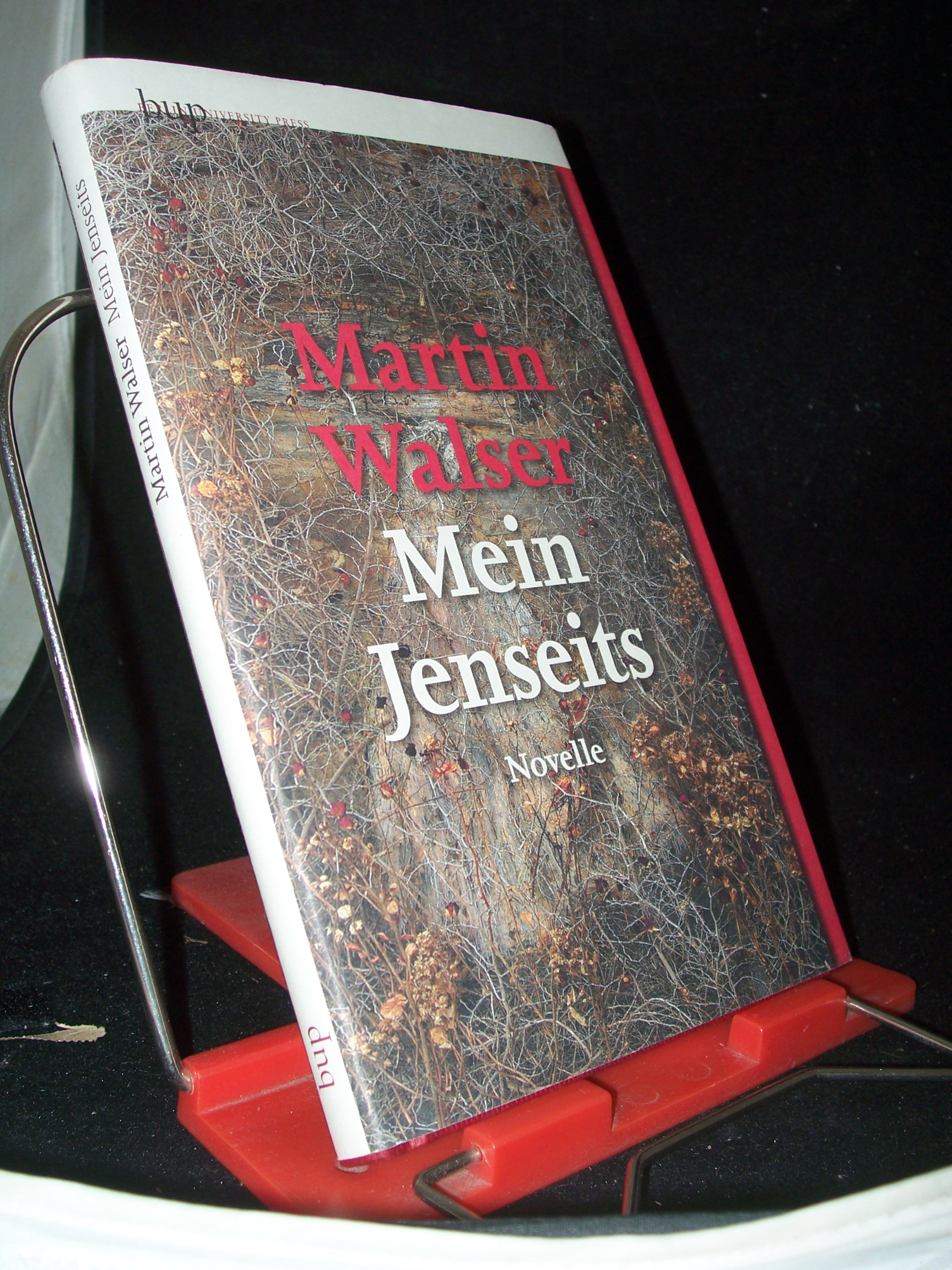 Artikelbild 1 des Artikels “Mein Jenseits : Novelle / Martin Walser “