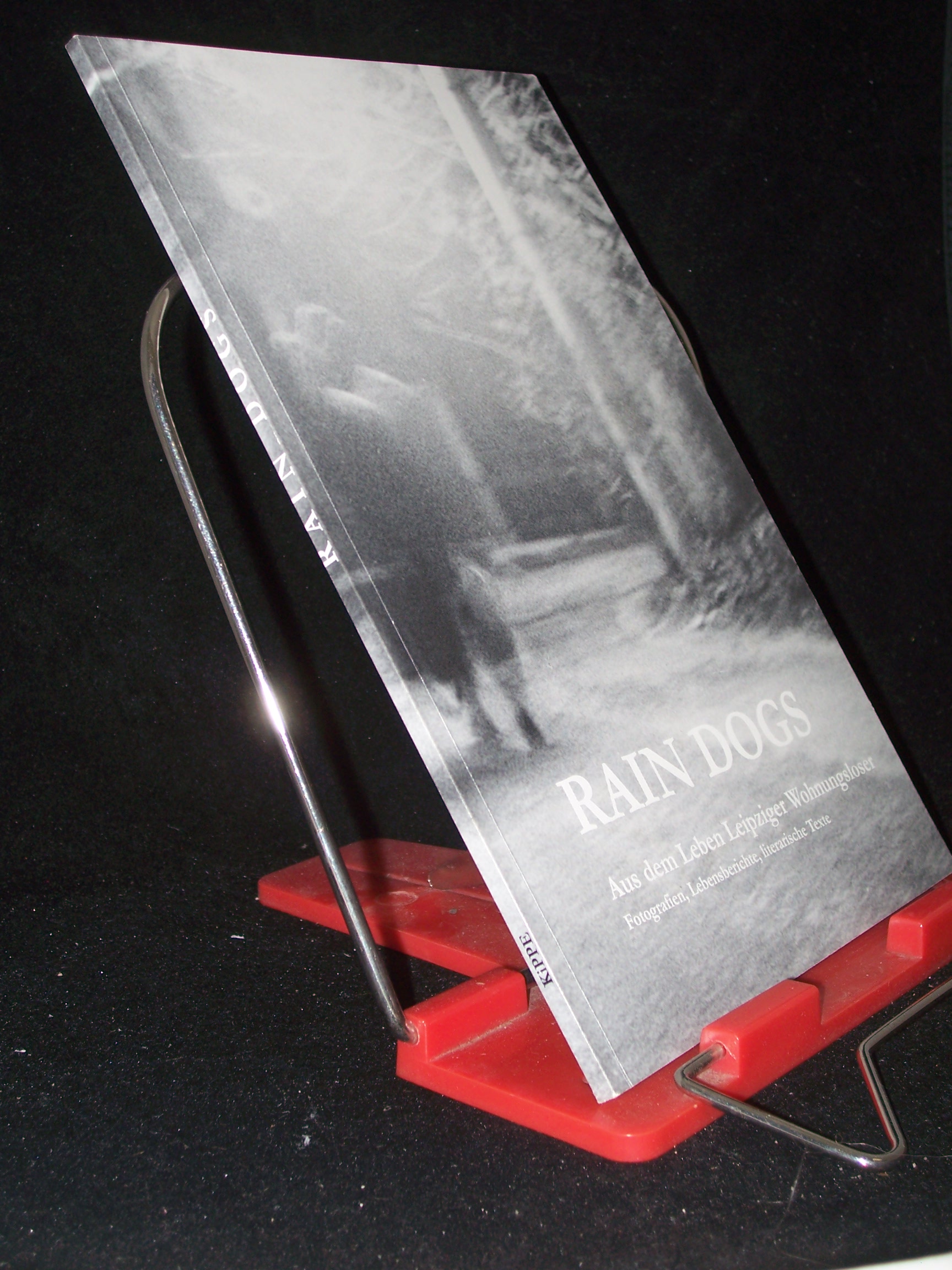 Artikelbild 1 des Artikels “Rain Dogs “