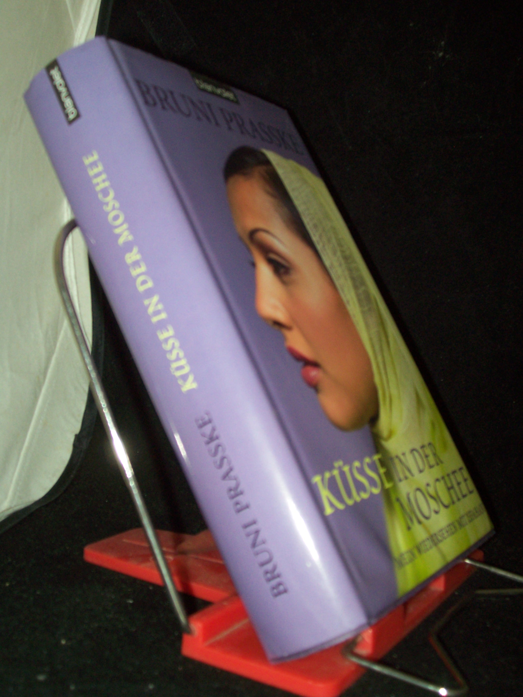 Artikelbild 1 des Artikels “Küsse in der Moschee : mein Wiedersehen mit Isfahan / Bruni Prasske “