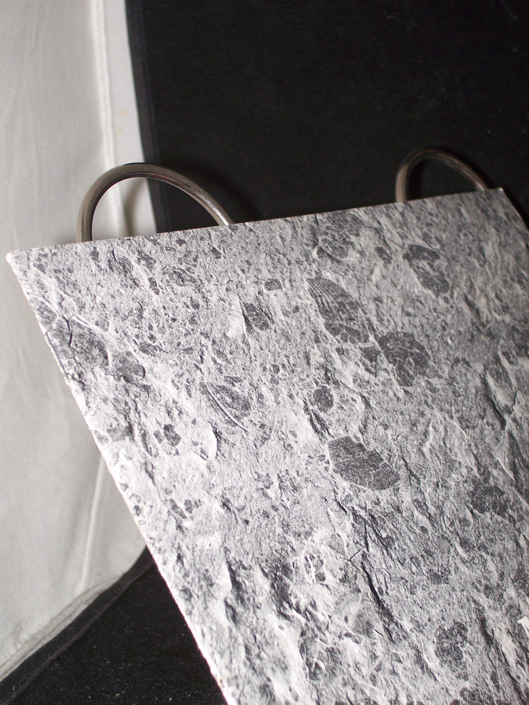 Artikelbild 1 des Artikels “Museum Hauff in Holzmaden, Teck, Württemberg “