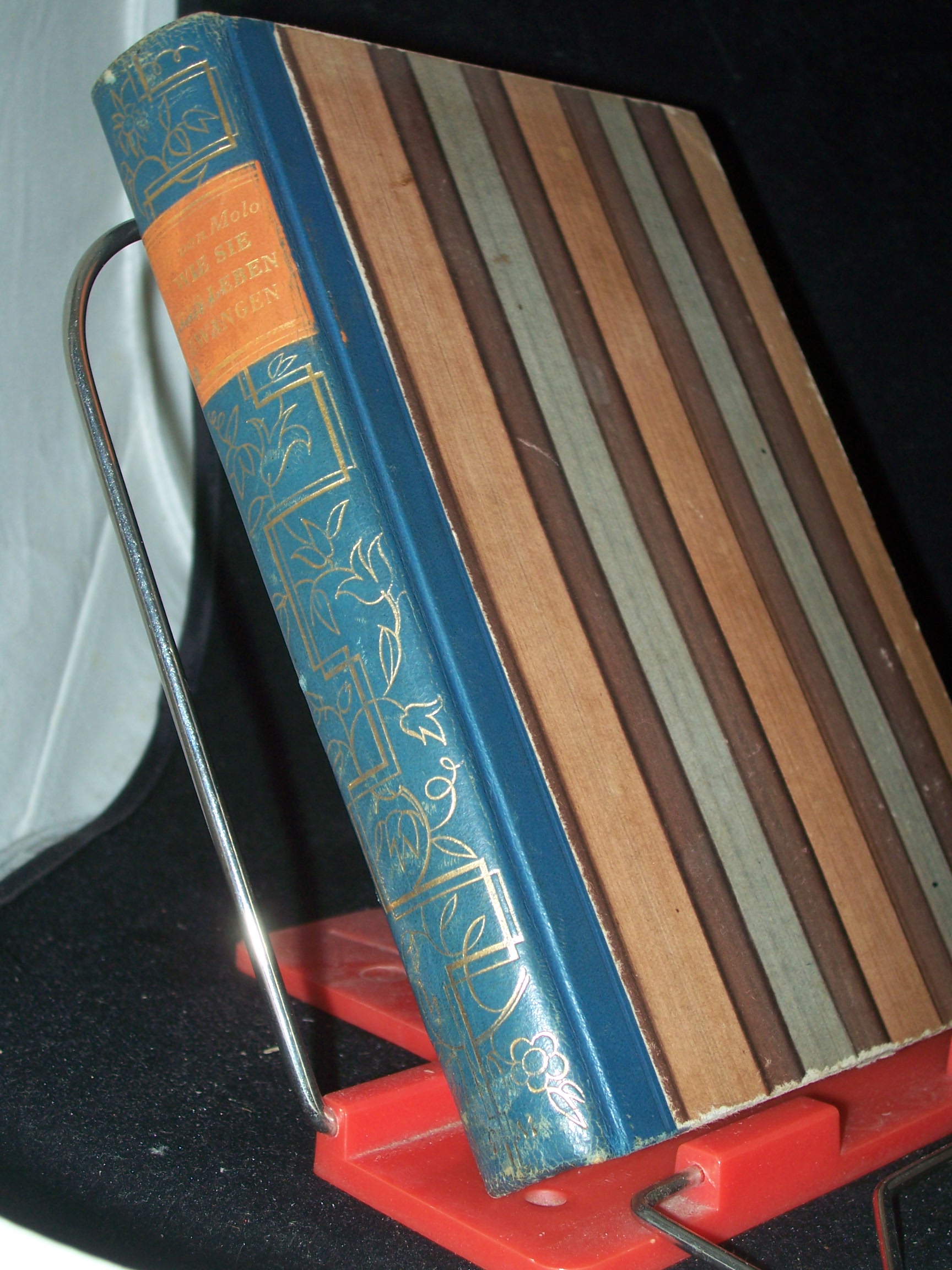 Artikelbild 1 des Artikels “Wie sie das Leben zwangen : Roman / Walter von Molo. Mit e. Geleitw. von Edwin Rollett “