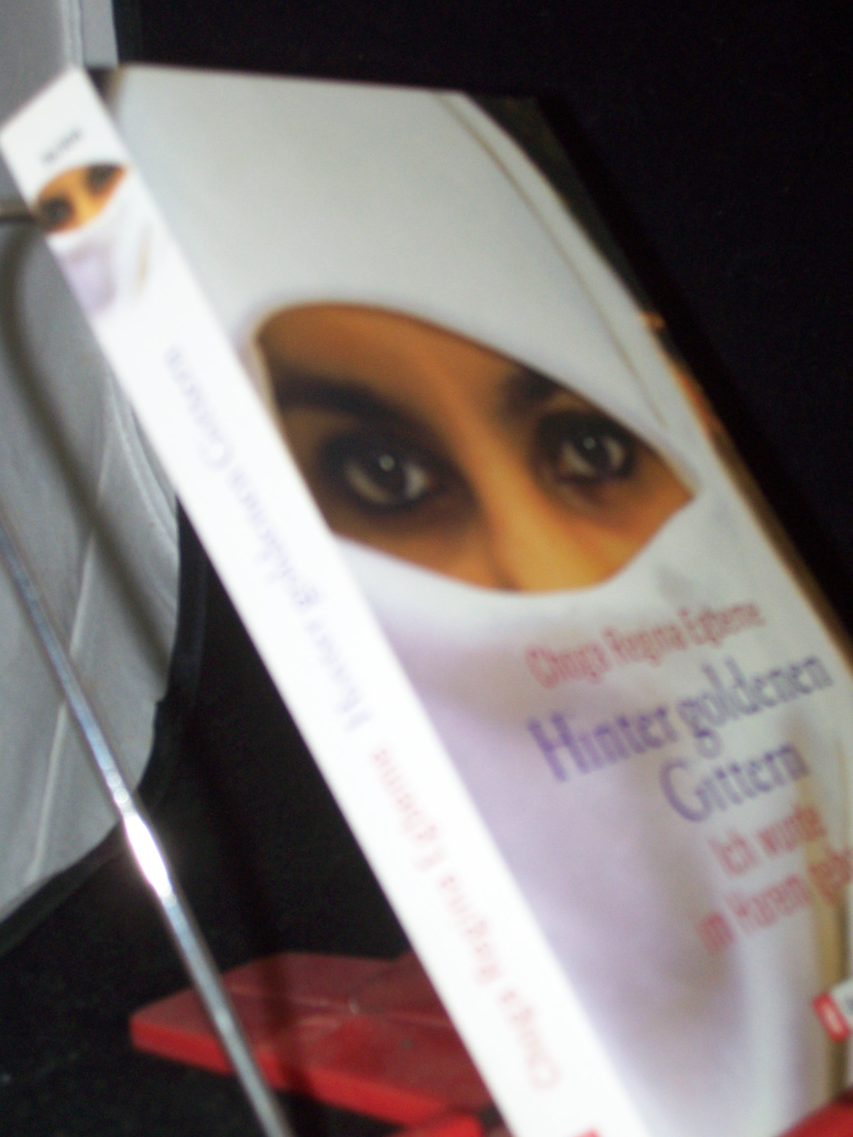 Artikelbild 1 des Artikels “Hinter goldenen Gittern : ich wurde im Harem geboren / Choga Regina
Egbeme “