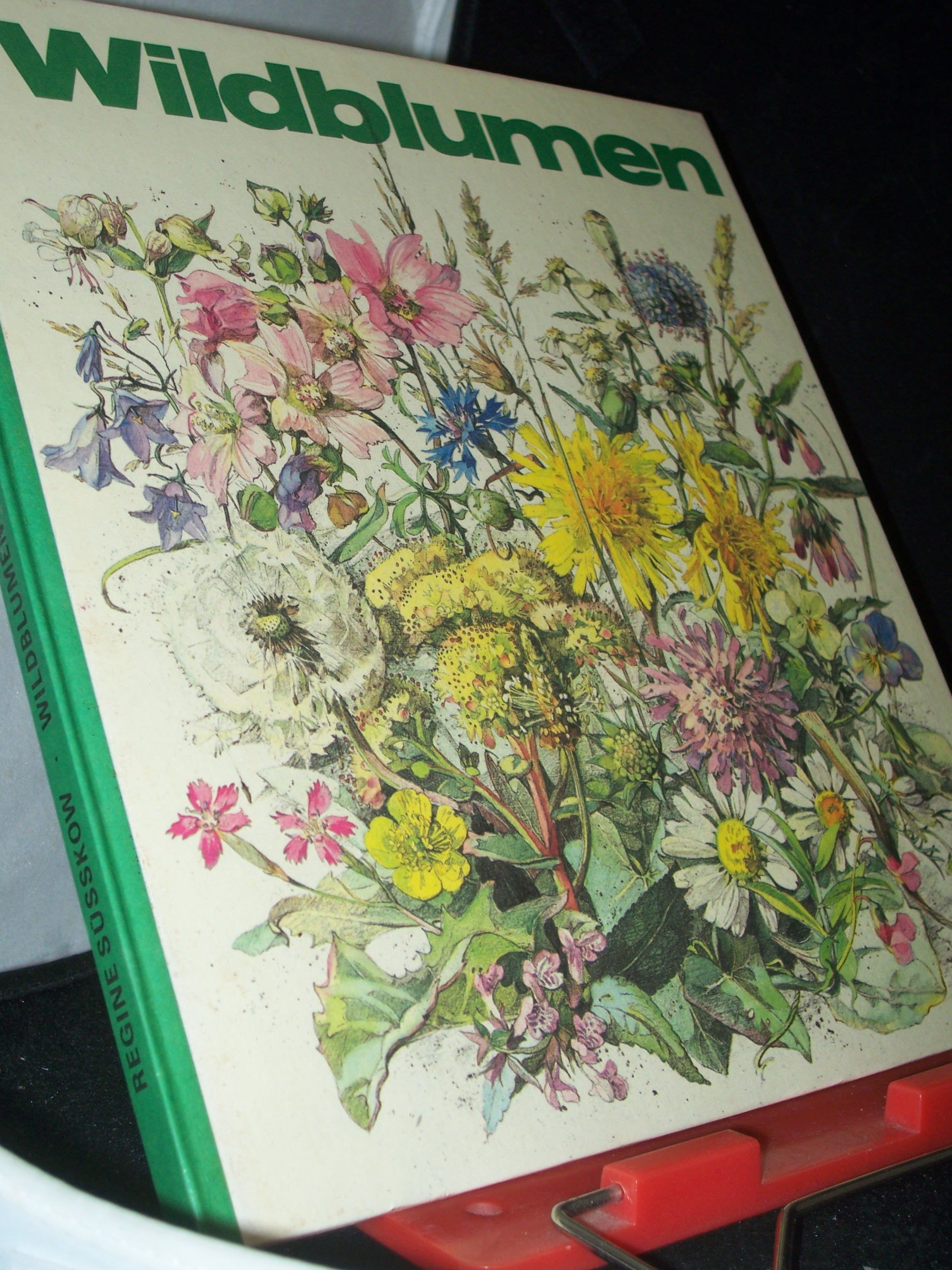 Artikelbild 1 des Artikels “Wildblumen / Regine Süsskow. Ill. von Wolf U. Friedrich “