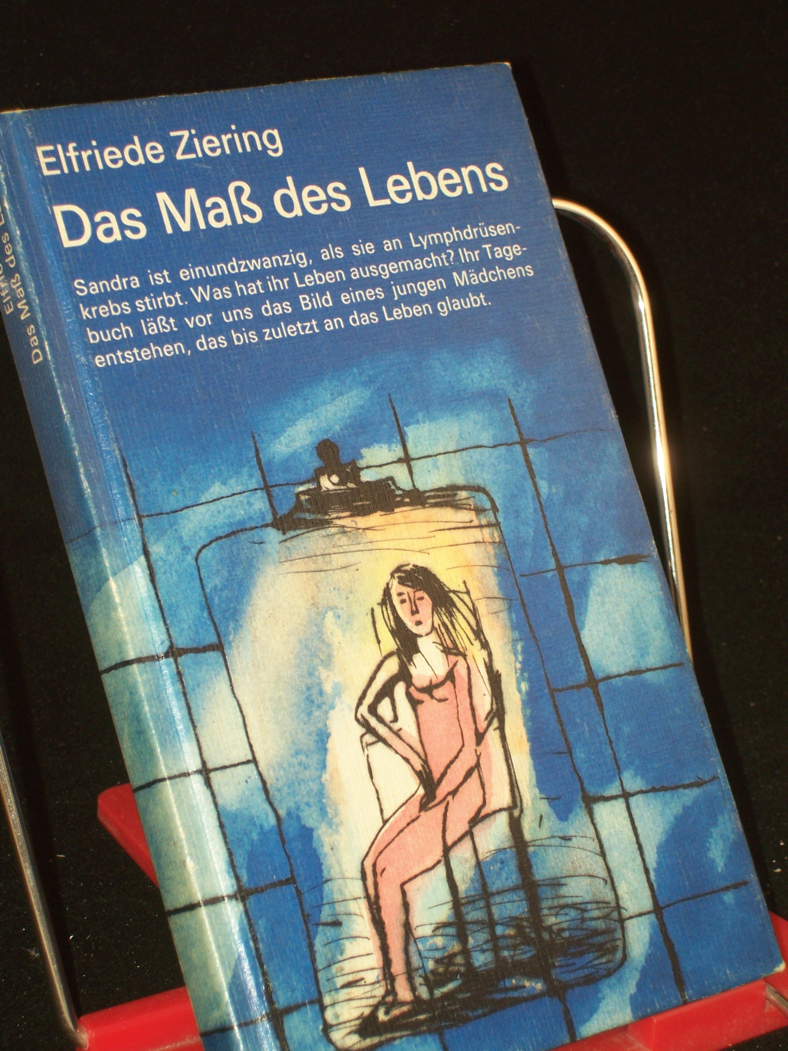 Artikelbild 1 des Artikels “Das Mass des Lebens / Elfriede Ziering “
