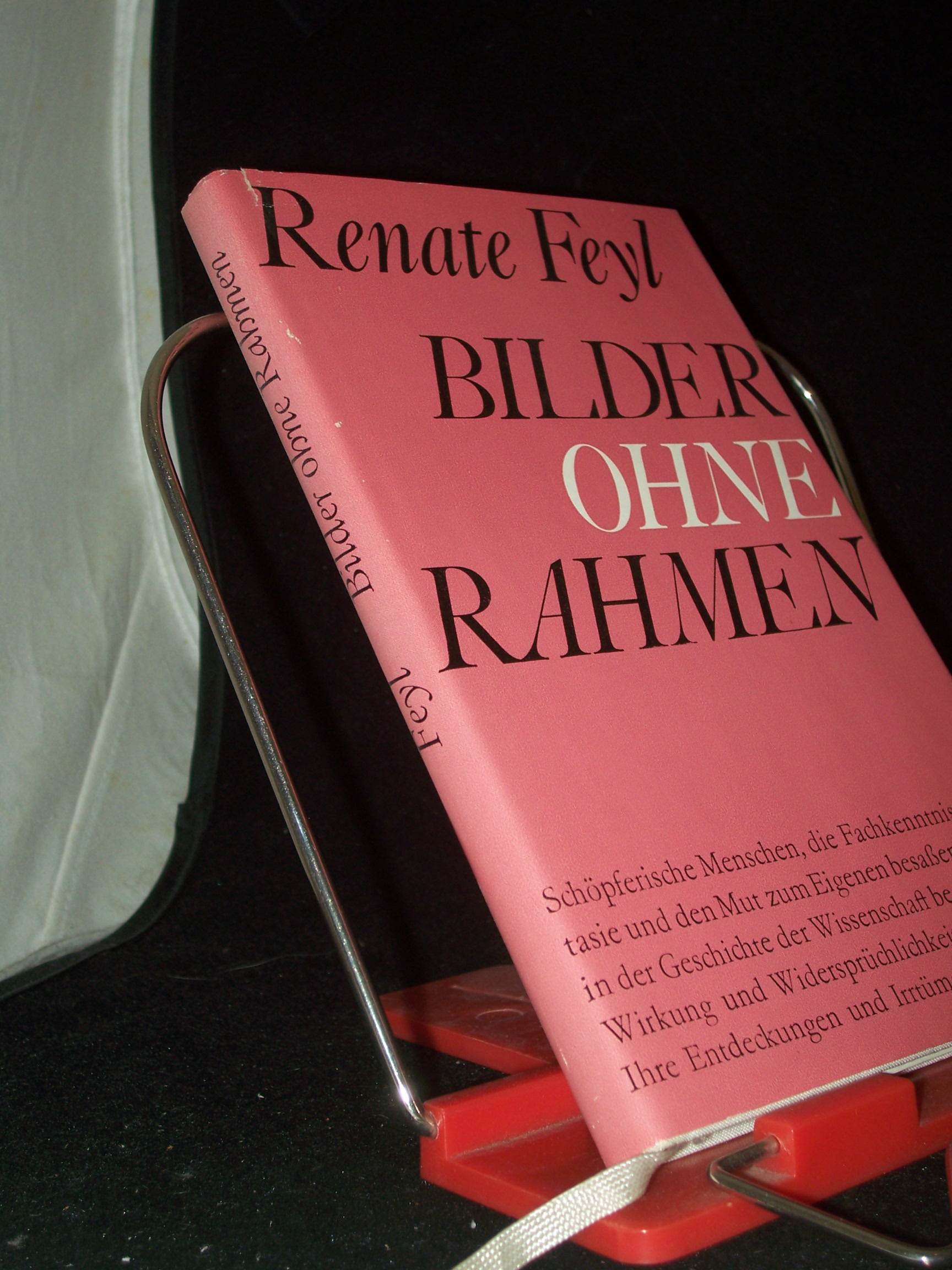 Artikelbild 1 des Artikels “Bilder ohne Rahmen / Renate Feyl “