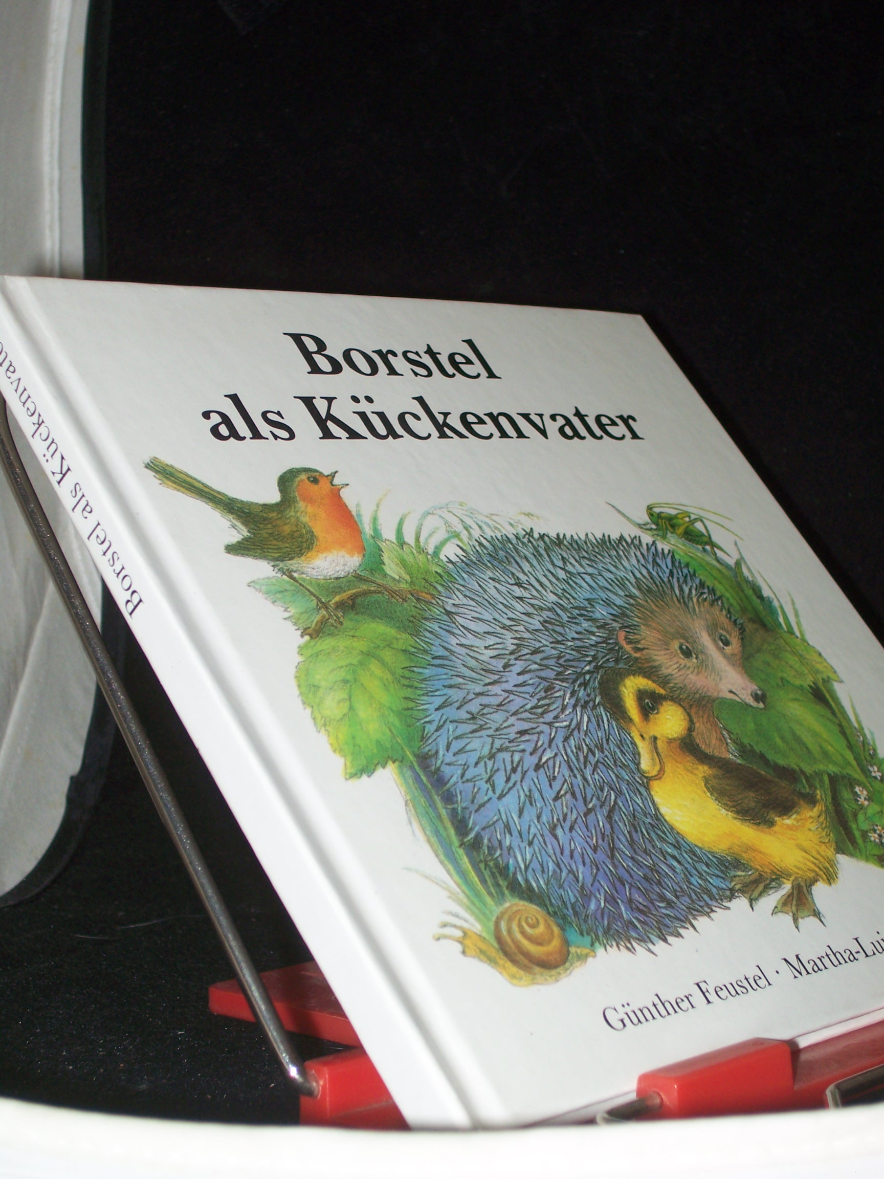 Artikelbild 1 des Artikels “Borstel als Kückenvater / Günther Feustel. Ill. von Martha-Luise Gubig “