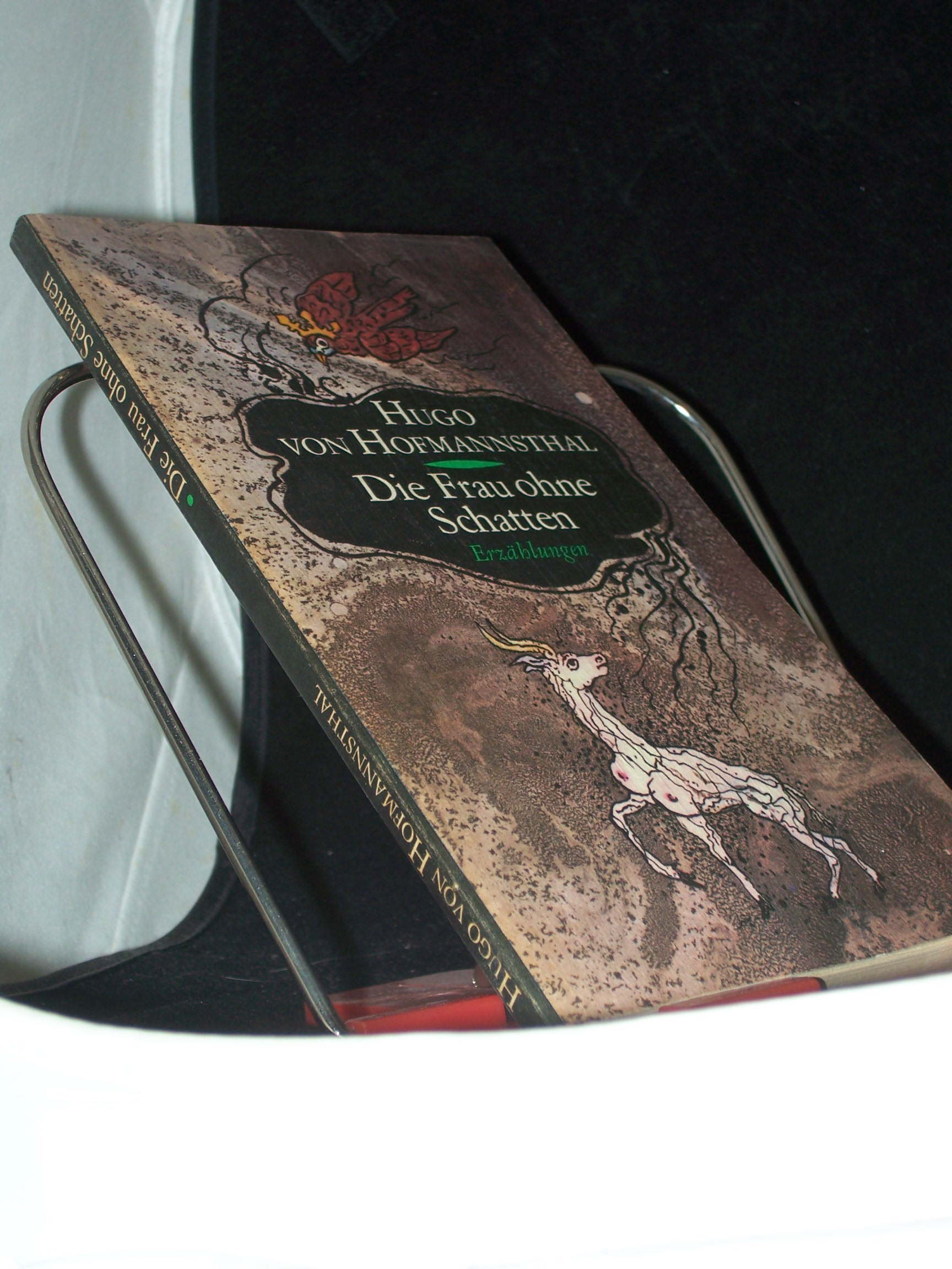 Artikelbild 1 des Artikels “Die Frau ohne Schatten : 4 Erzählungen / Hugo von Hofmannsthal “