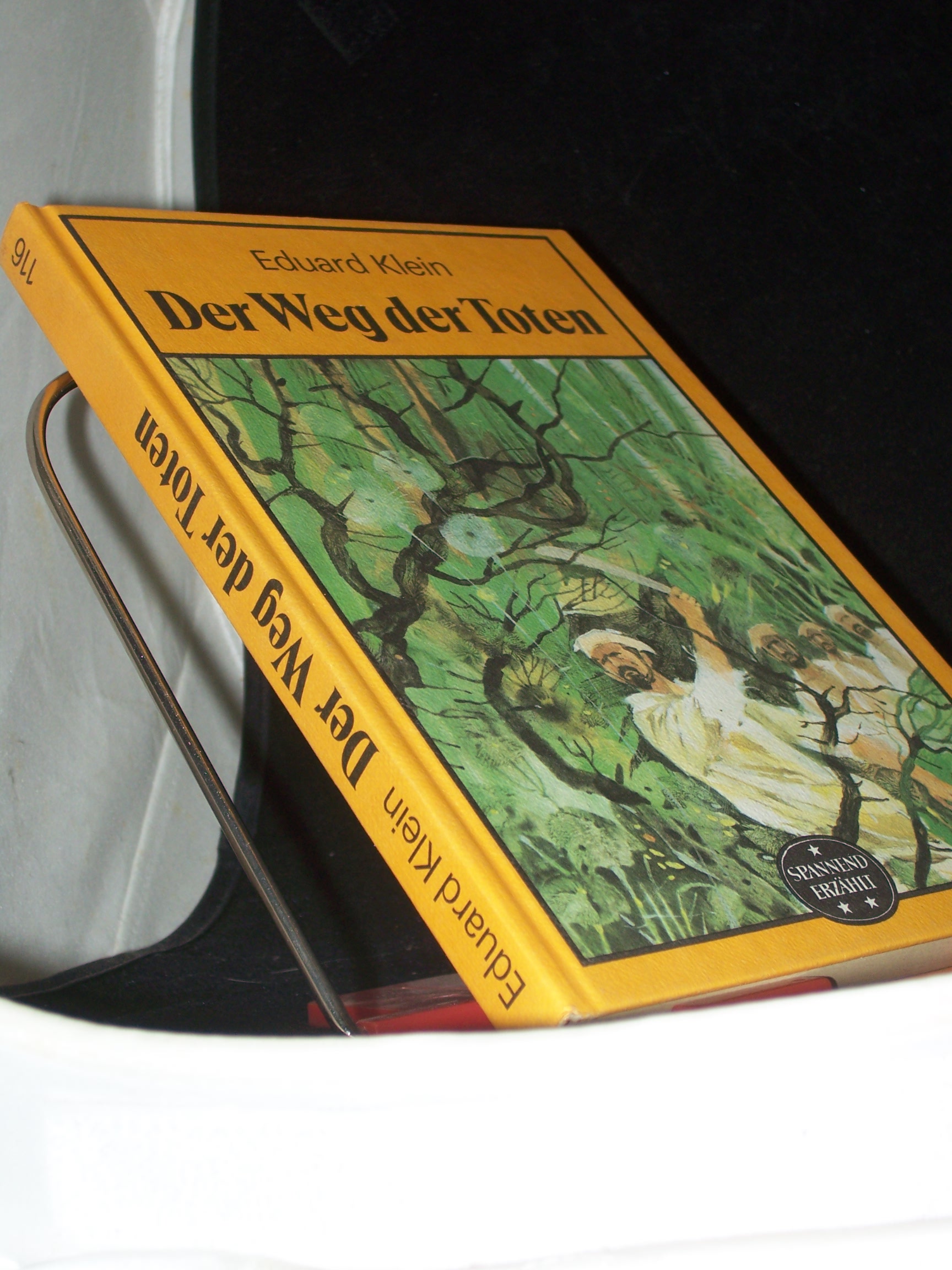 Artikelbild 1 des Artikels “Der Weg der Toten / Eduard Klein “