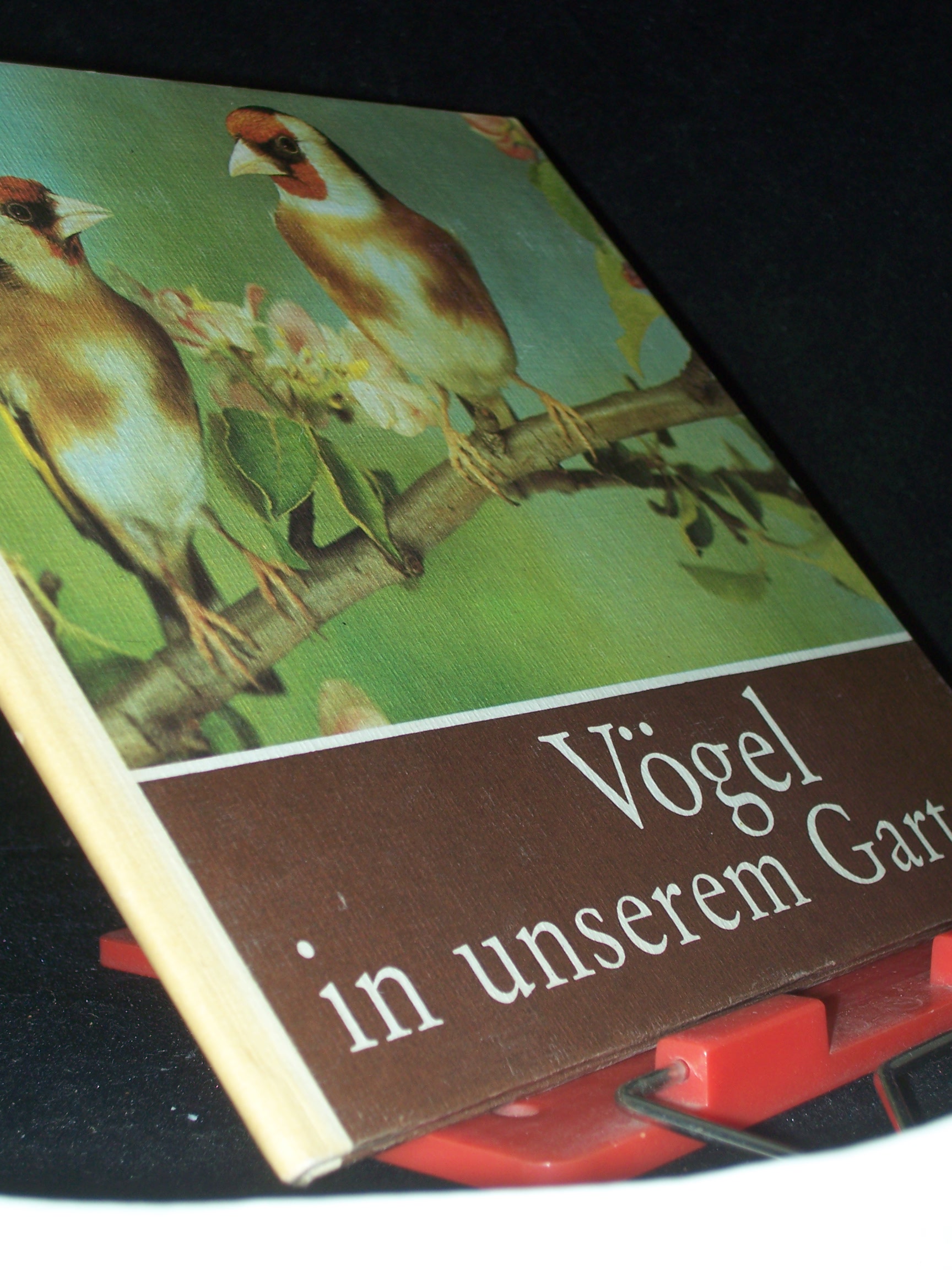 Artikelbild 1 des Artikels “Vögel in unserem Garten / für junge Natur- u. Tierfreunde
beobachtet, fotogr. u. aufgeschrieben von Helmut Massny “