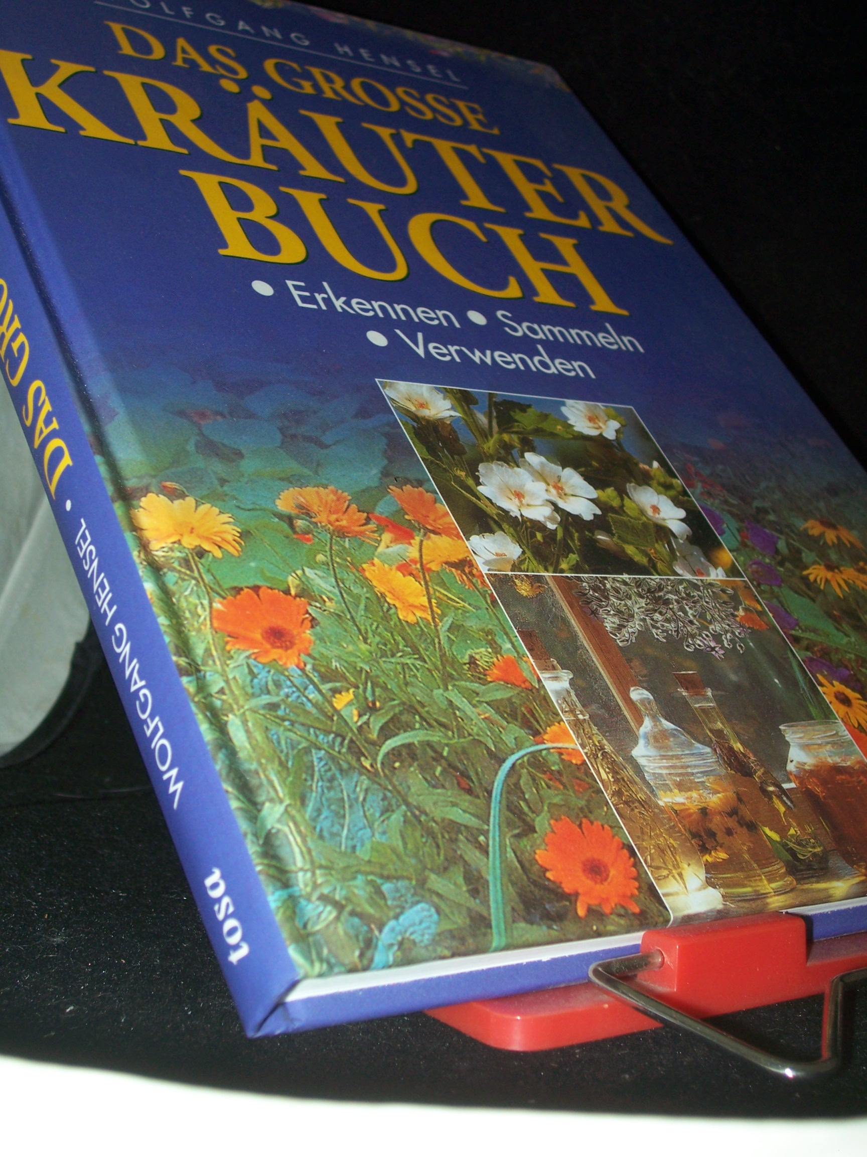 Artikelbild 1 des Artikels “Das grosse Kräuterbuch : [Erkennen - Sammeln - Verwenden] / Wolfgang Hensel “