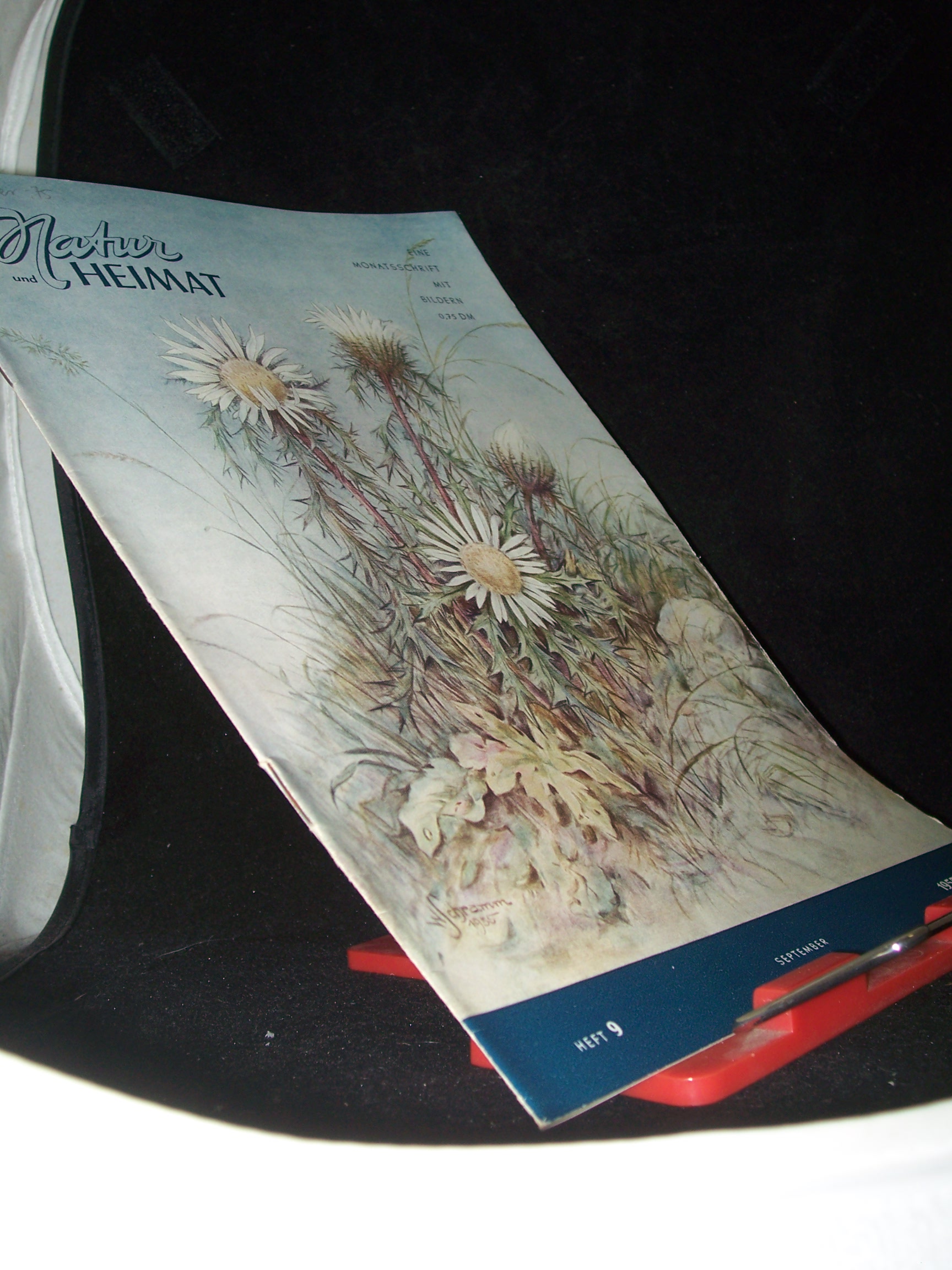 Artikelbild 1 des Artikels “9/1955 “