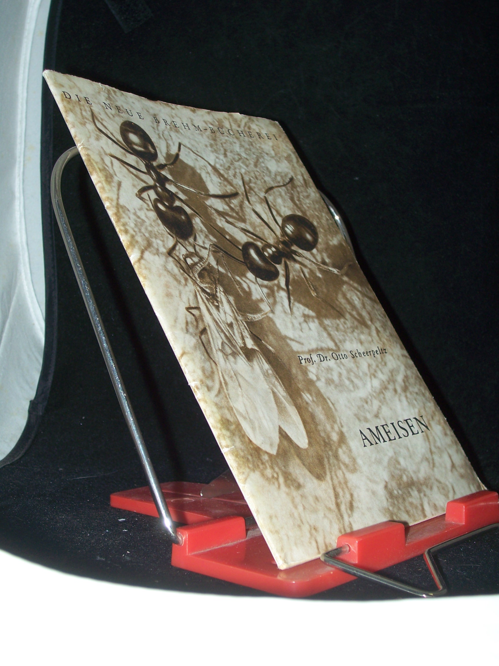 Artikelbild 1 des Artikels “Ameisen / Otto Scheerpeltz. Mit 17 Aufn. des Verf “