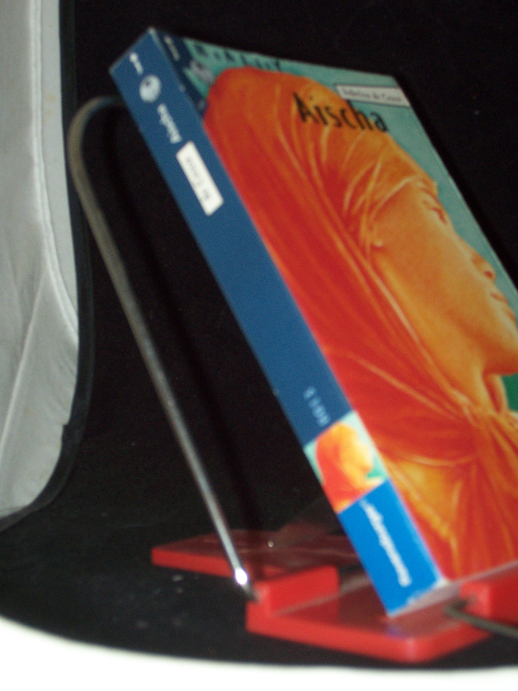 Artikelbild 1 des Artikels “Aischa / Federica DeCesco “