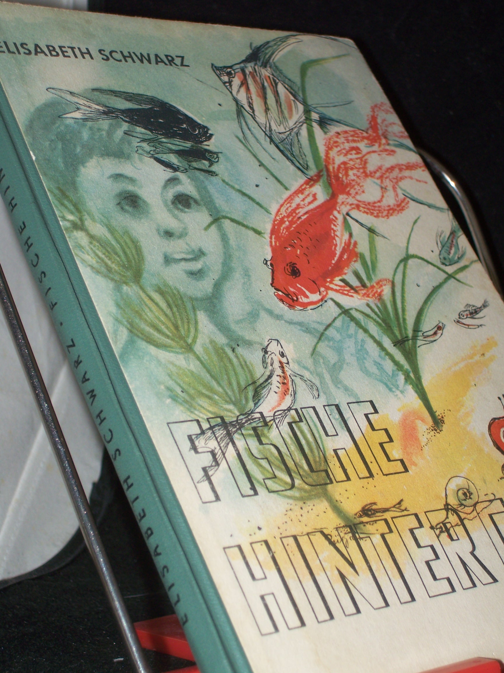 Artikelbild 1 des Artikels “Fische hinter Glas : Eine Anleitung für Aquarienfreunde / Elisabeth Schwarz. Mit Ill. von Lieselott Klepper-Purjahn “