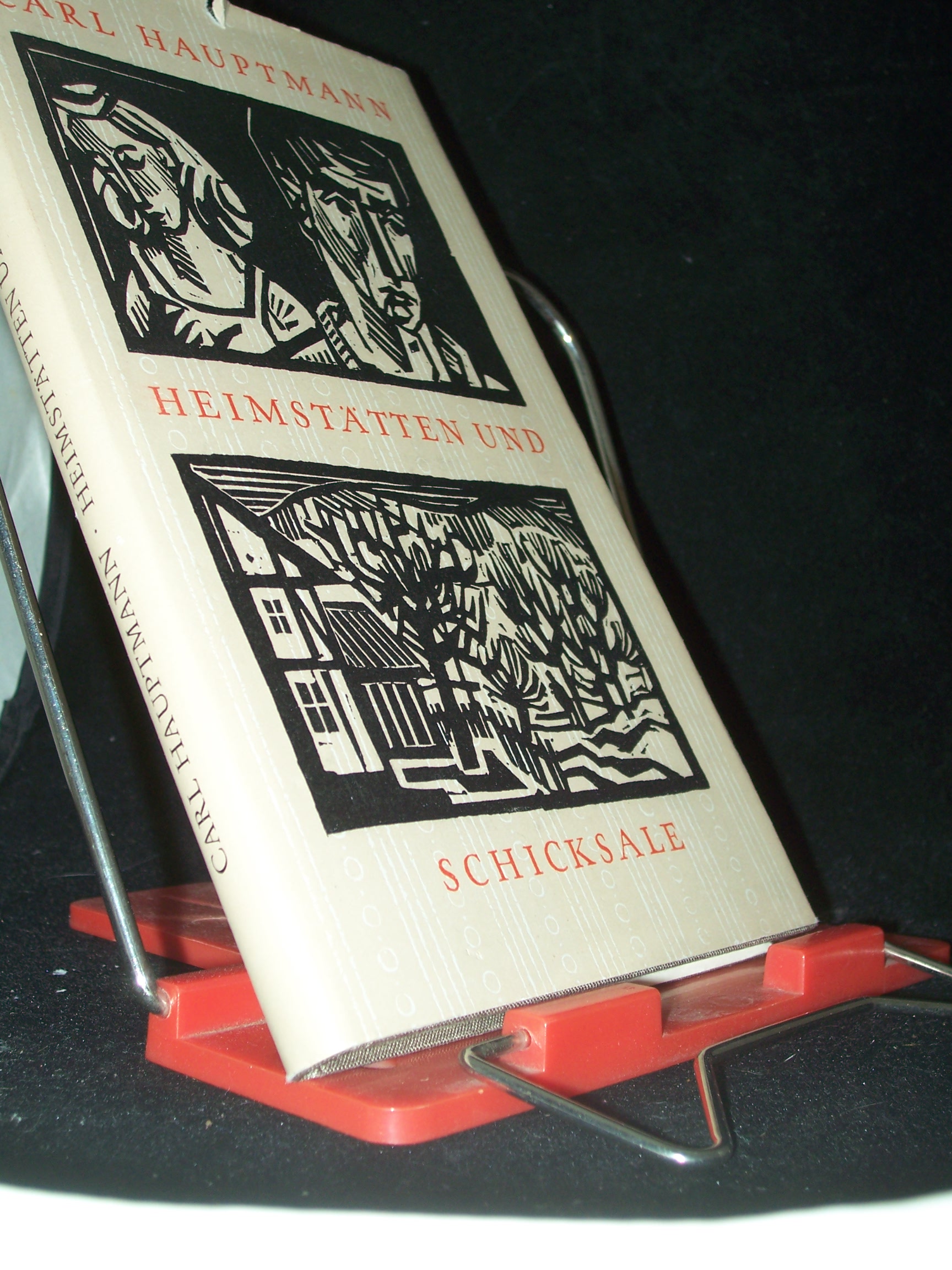 Artikelbild 1 des Artikels “Heimstätten und Schicksale / Carl Hauptmann. Mit e. Lebensbild d. Dichters von Maria Hauptmann. Die Ill. schnitt Peter Opitz in Holz “