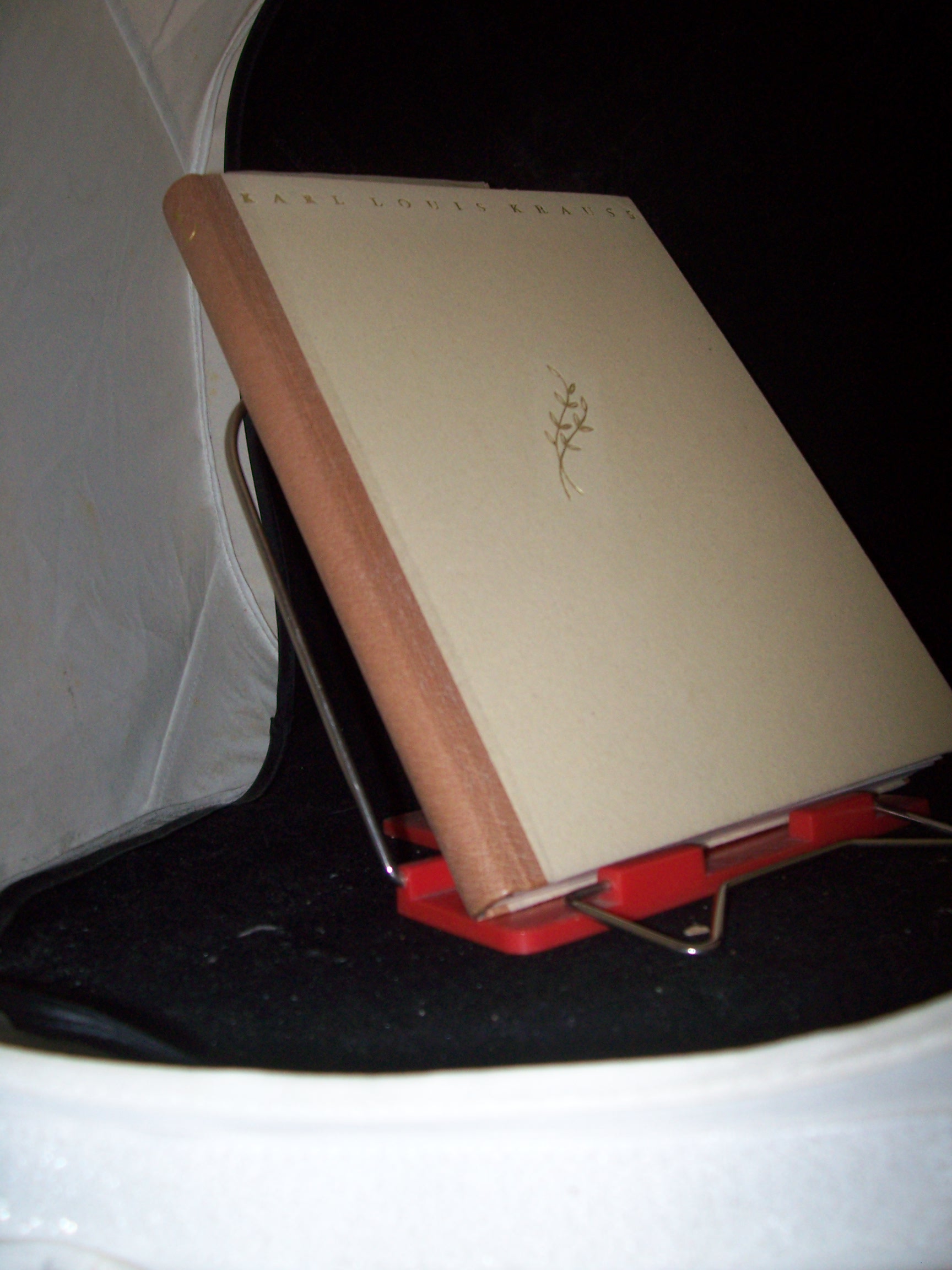 Artikelbild 1 des Artikels “Karl Louis Krauss. Das Leben meines Vaters von F. E. Krauss “