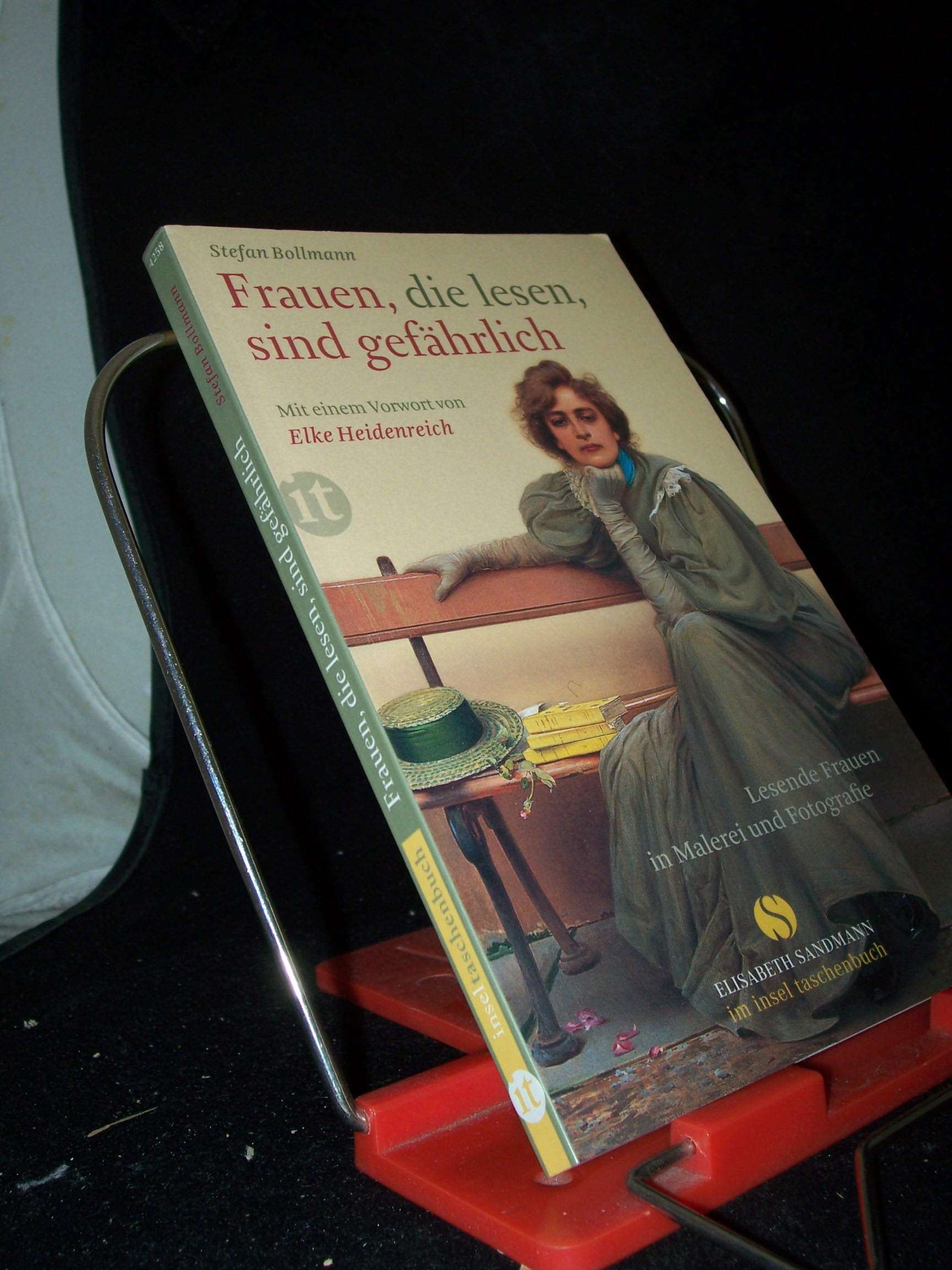 Artikelbild 1 des Artikels “Frauen, die lesen, sind gefährlich : lesende Frauen in Malerei und Fotografie / Stefan Bollmann. Mit einem Vorw. von Elke Heidenreich “