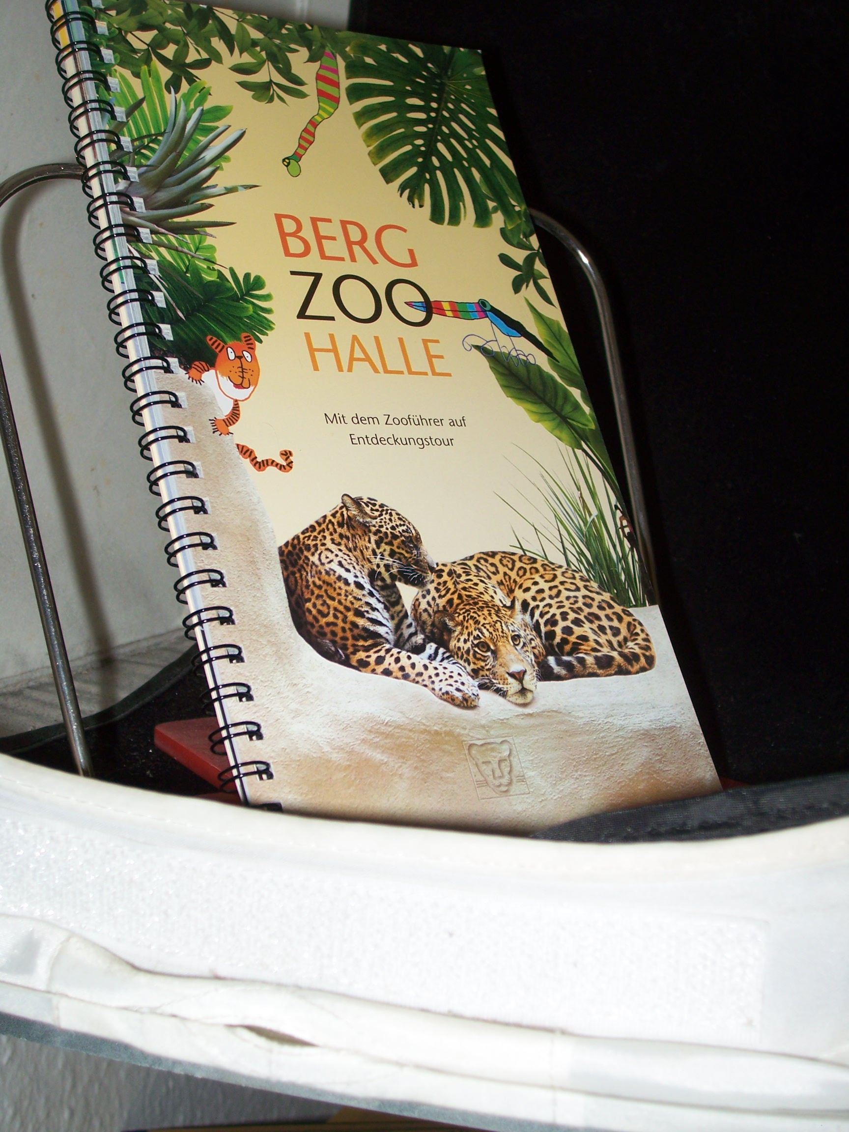 Artikelbild 1 des Artikels “Zooführer (Berg Zoo Halle/ Jaguare) “