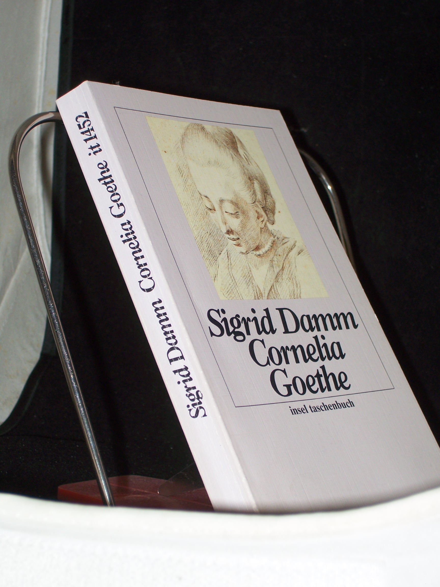 Artikelbild 1 des Artikels “Cornelia Goethe / Sigrid Damm “