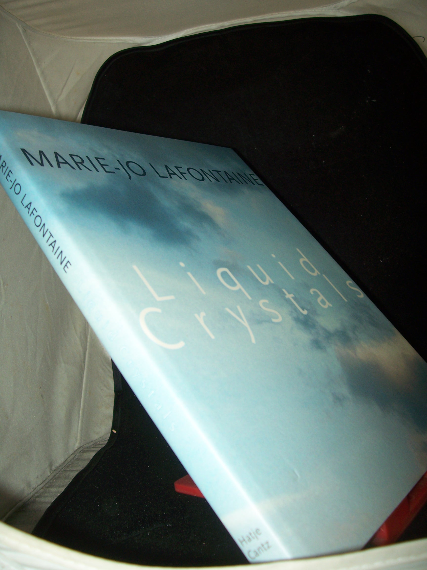 Artikelbild 1 des Artikels “Marie-Jo Lafontaine : Liquid crystals ; [zur Ausstellung Liquid
Crystals, vom 4. Juli bis 12. September 1999 im Institut
Mathildenhöhe Darmstadt und in der Deutsche Bank S.A. Luxembourg vom
23. März bis 16. Juni 2000] / hrsg. von Klaus Wolb “