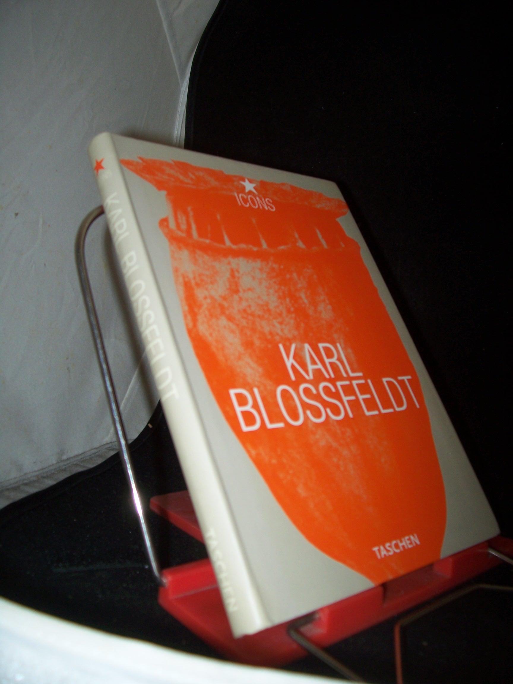 Artikelbild 1 des Artikels “Karl Blossfeldt : 1865 - 1932 / Hans Christian Adam. [Engl. transl.:
Christian Goodden. French transl.: Cathérine Henry] “