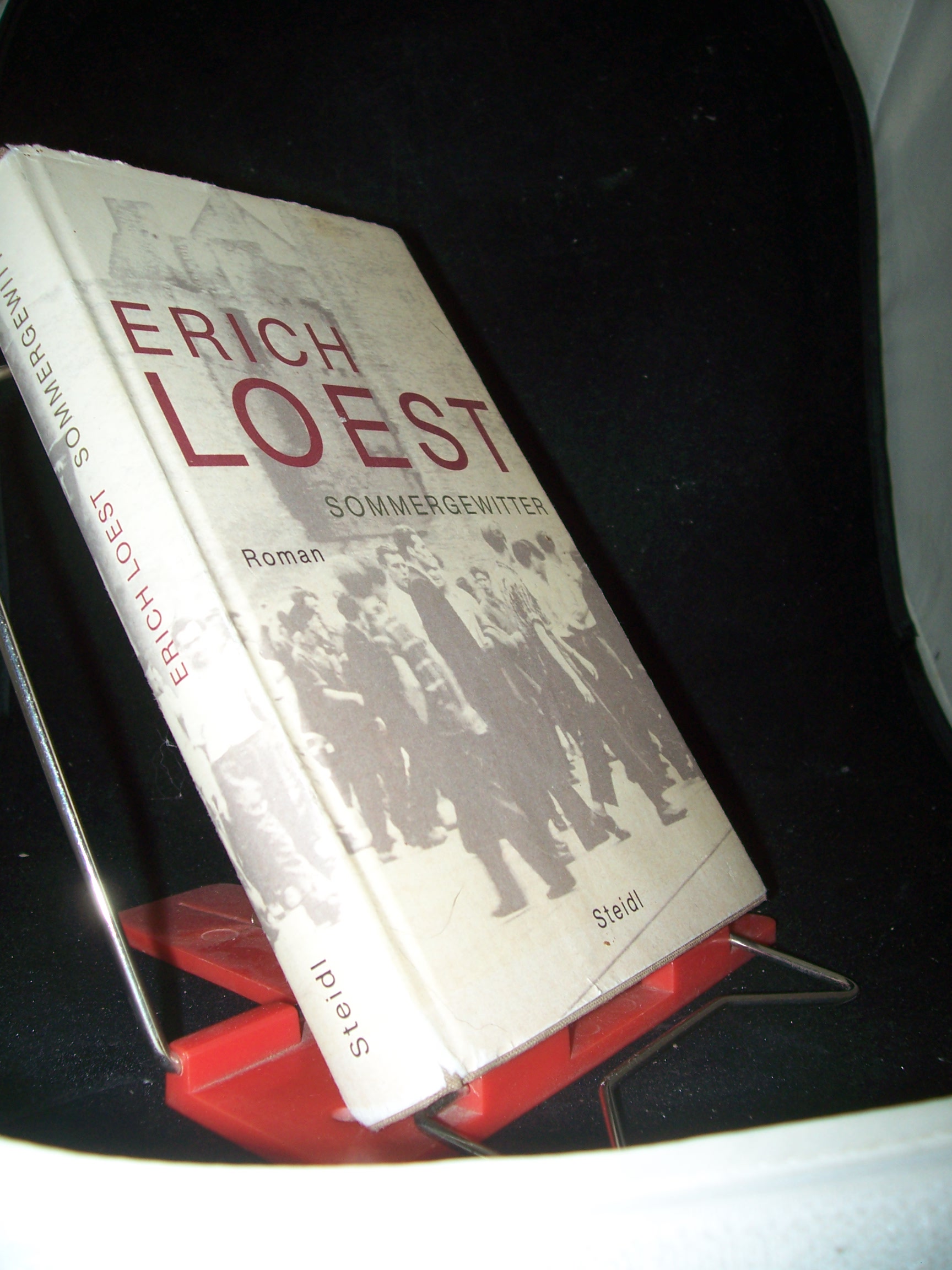 Artikelbild 1 des Artikels “Sommergewitter : Roman / Erich Loest “