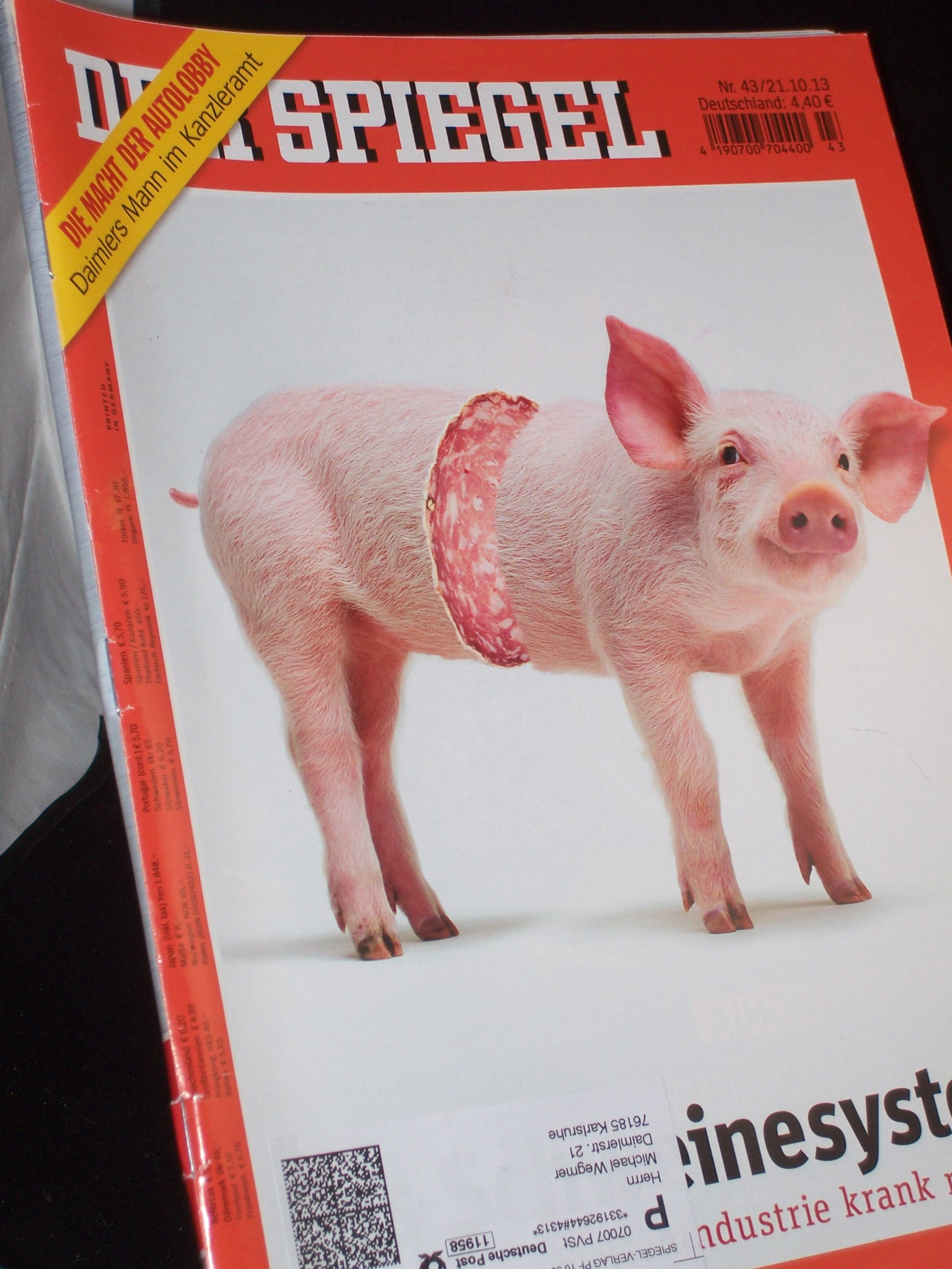 Artikelbild 1 des Artikels “43/2013, Schweinesystem “