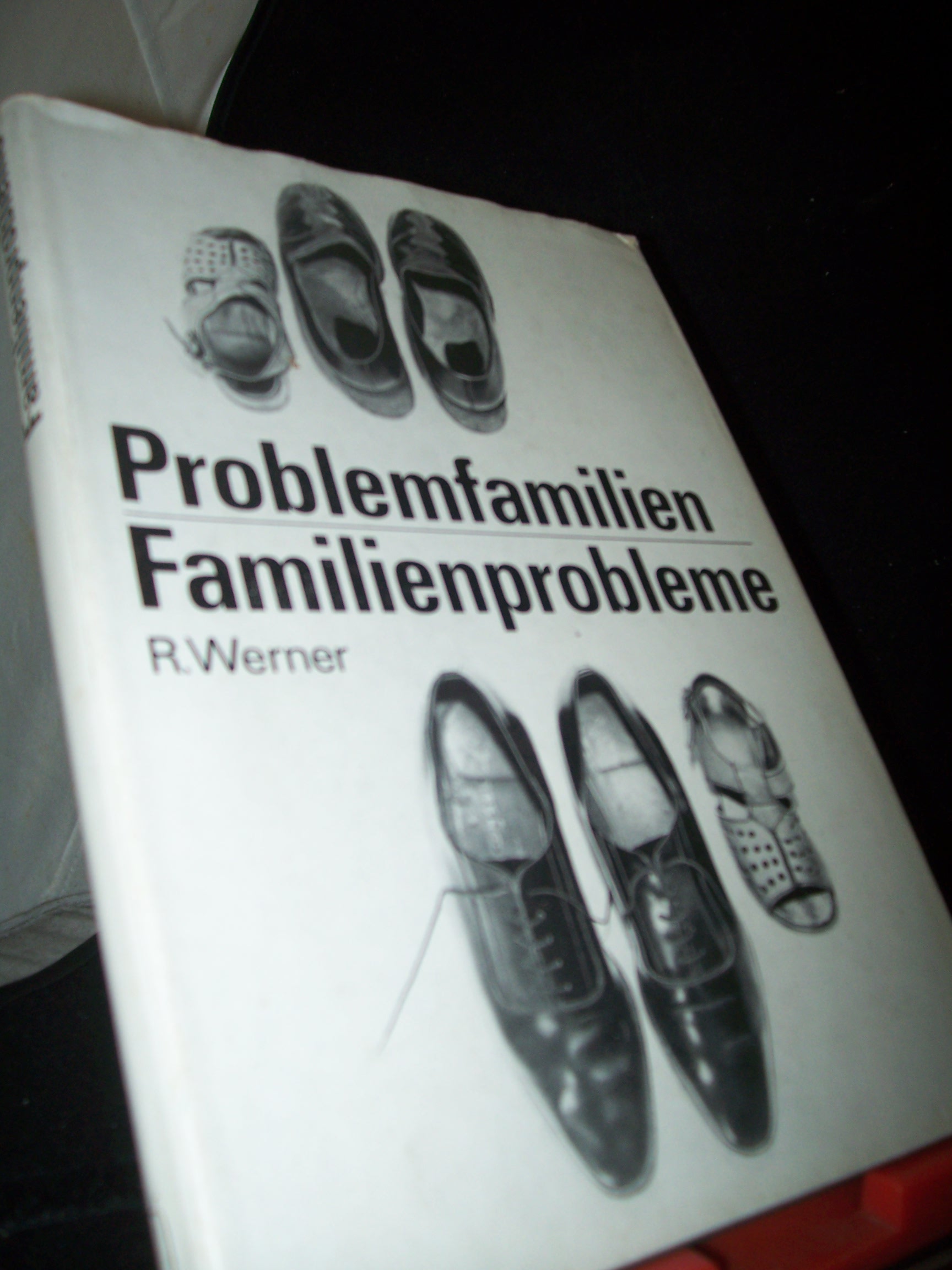 Artikelbild 1 des Artikels “Problemfamilien, Familienprobleme : Gefährdete im Prisma sozialer
Konflikte / Reiner Werner “