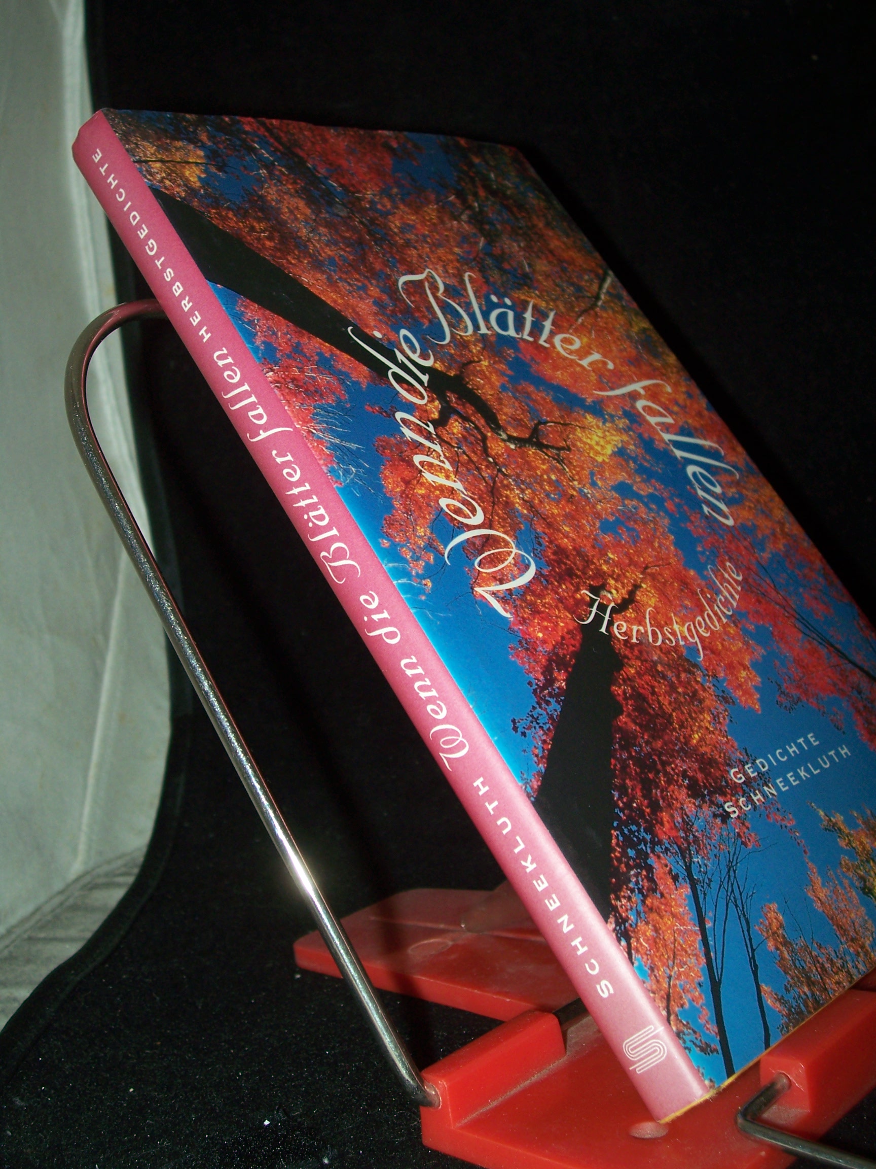 Artikelbild 1 des Artikels “Wenn die Blätter fallen : Herbstgedichte / hrsg. von Eva Schuster “