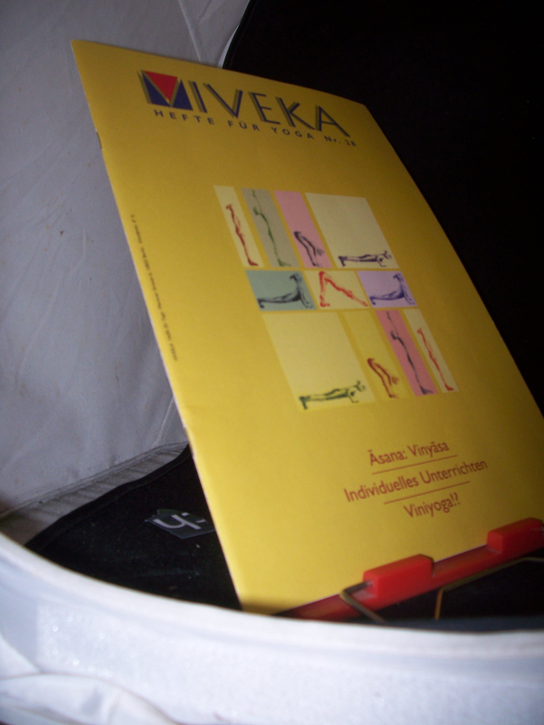 Artikelbild 1 des Artikels “28/2003, Āsana – Vinyāsas Viniyoga – ein Interview mit T.K.V.
Desikachar Individueller Unterricht “