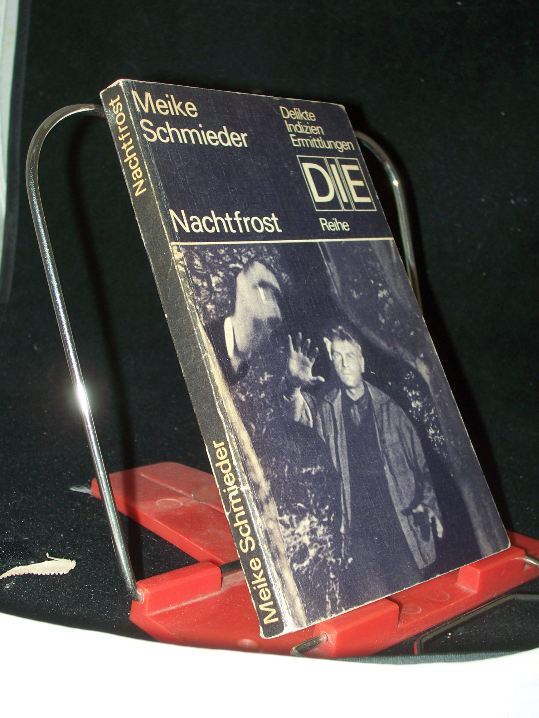 Artikelbild 1 des Artikels “Nachtfrost / Meike Schmieder “