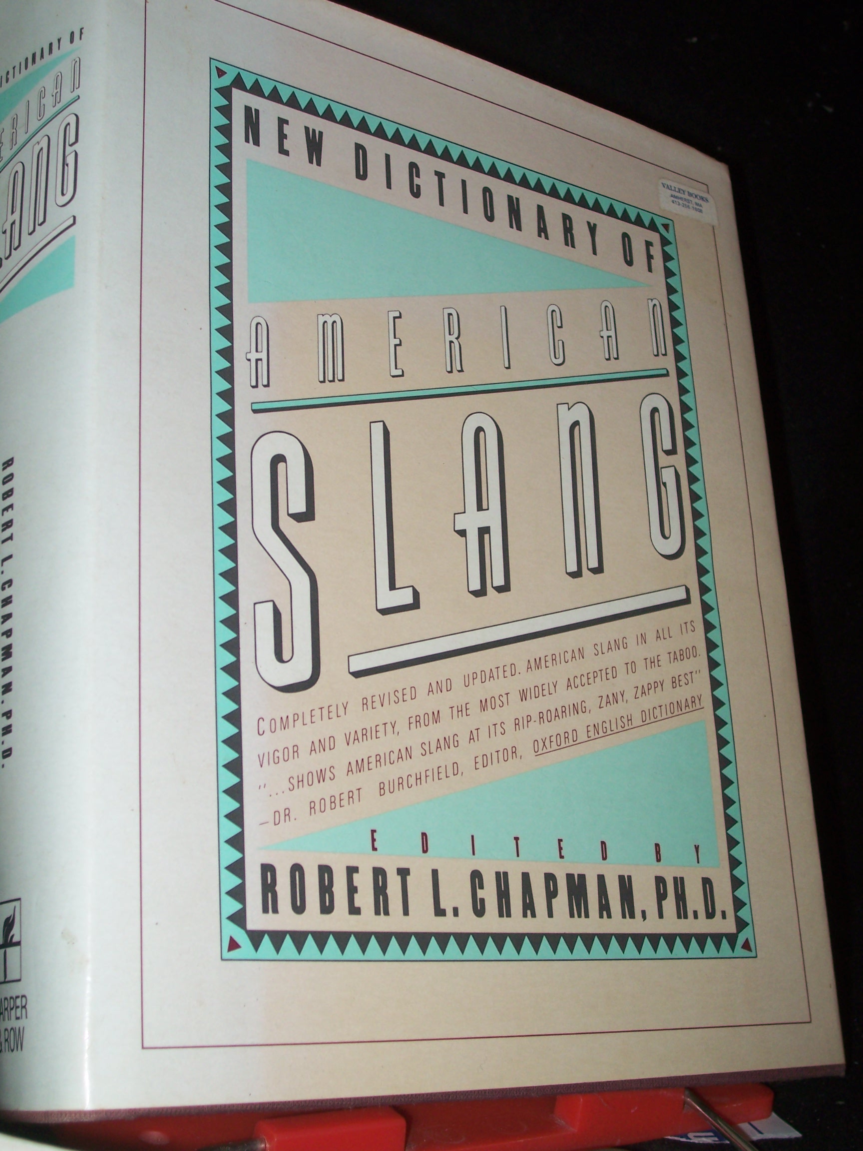 Artikelbild 1 des Artikels “New Dictionary of American Slang “